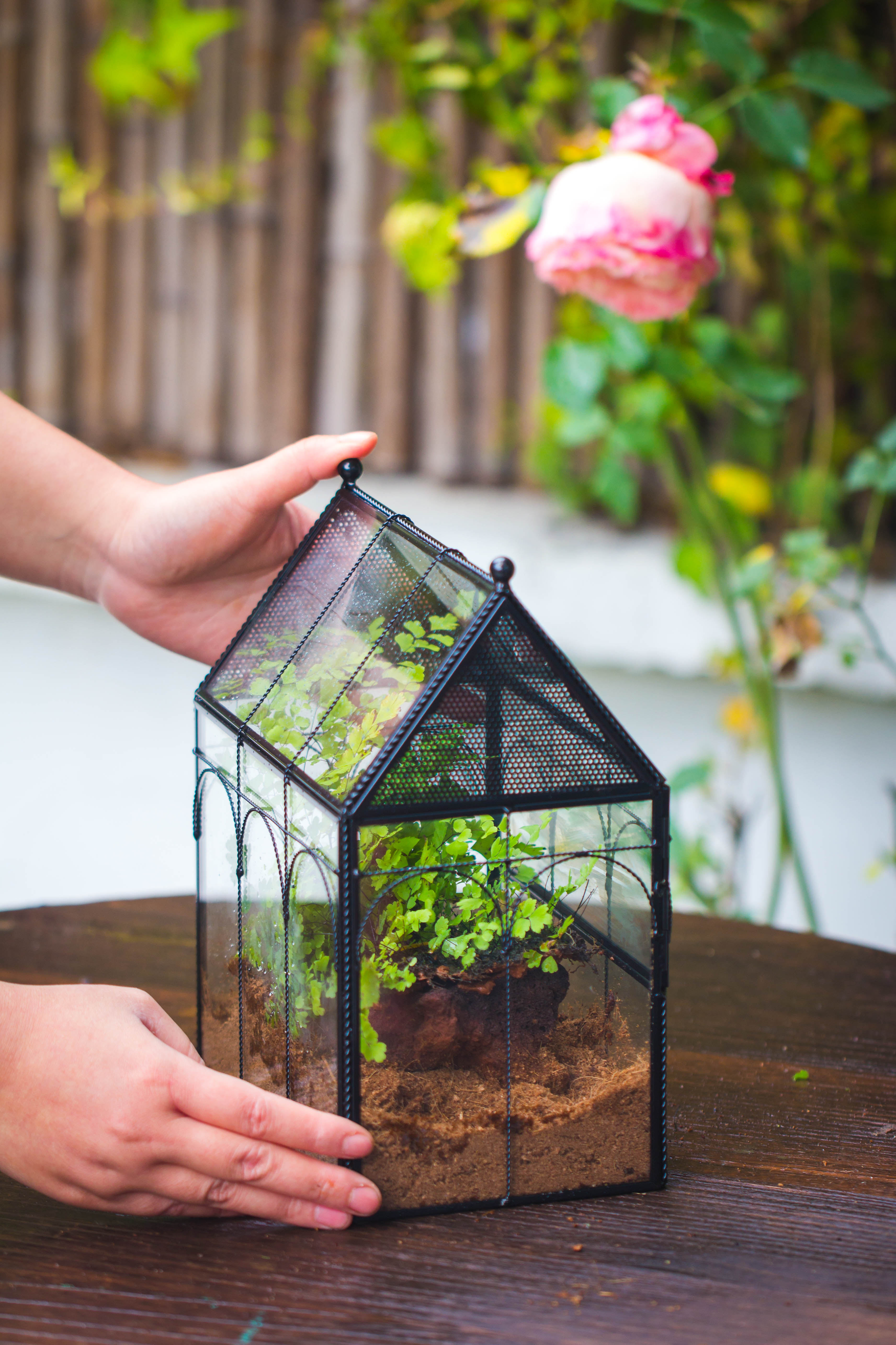 NCYP Vintage House Shape Tin and Glass Geometric Terrarium, with side door, with Mesh / vent holes for small Insects Pet - NCYPgarden
