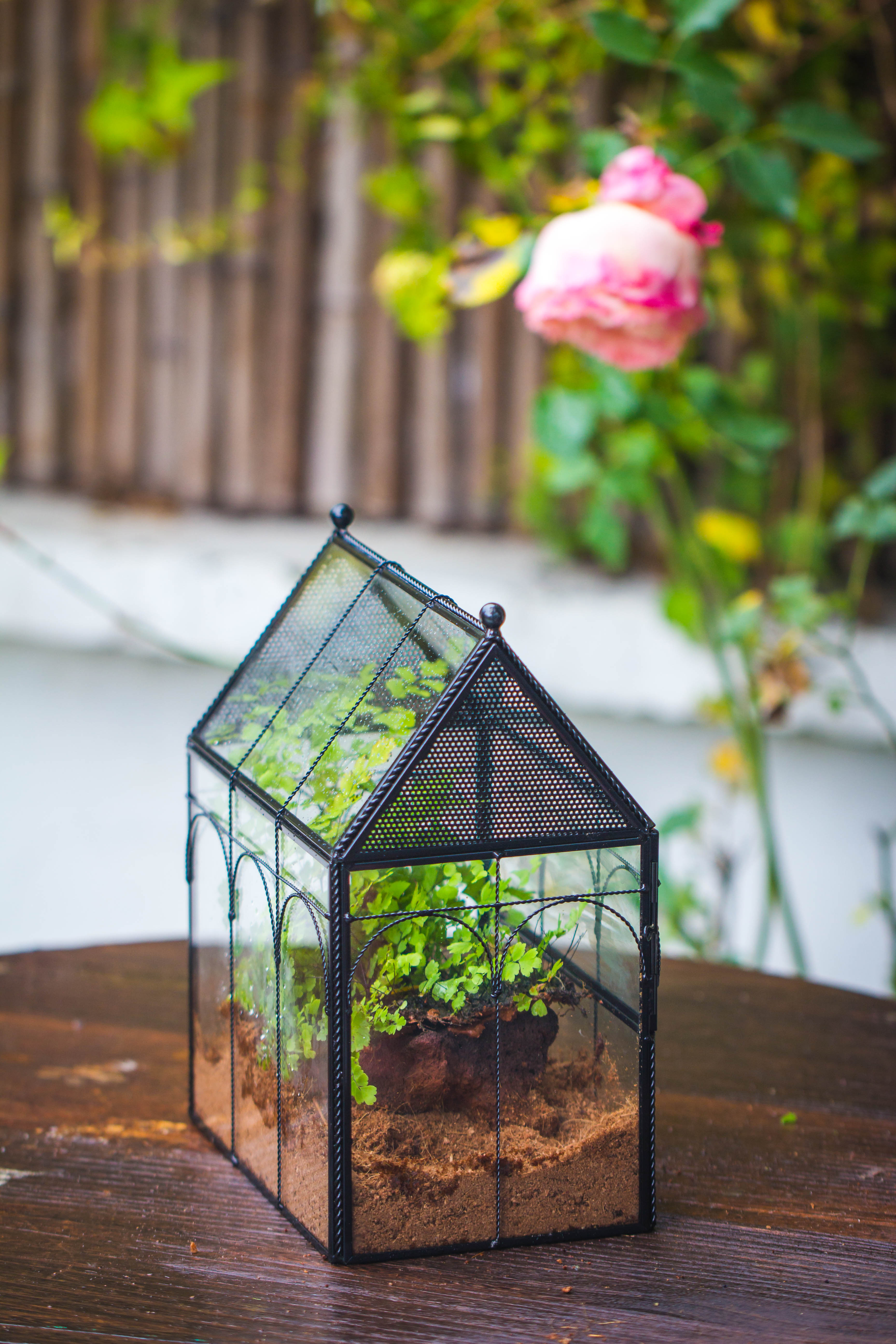 NCYP Vintage House Shape Tin and Glass Geometric Terrarium, with side door, with Mesh / vent holes for small Insects Pet - NCYPgarden
