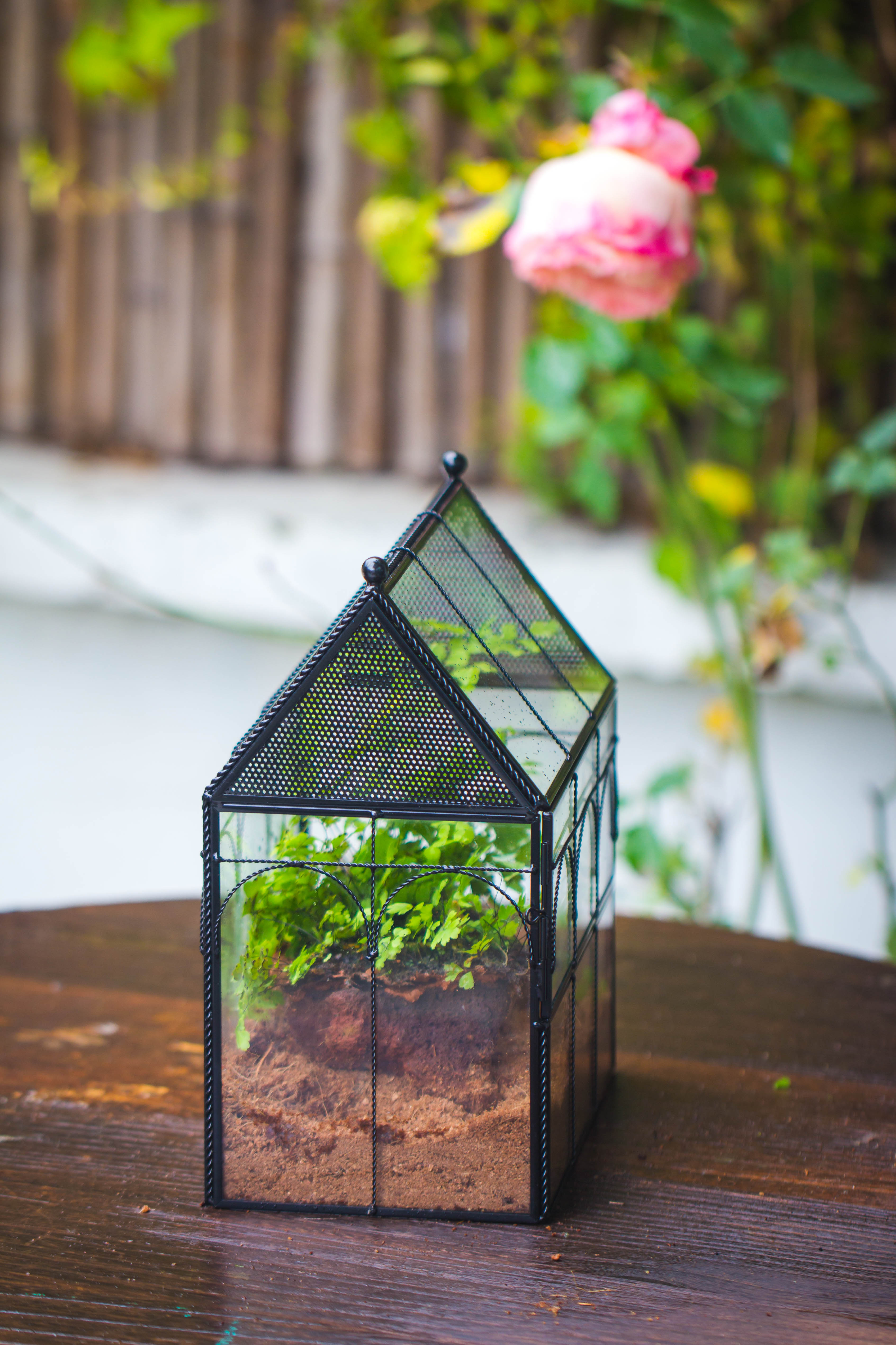 NCYP Vintage House Shape Tin and Glass Geometric Terrarium, with side door, with Mesh / vent holes for small Insects Pet - NCYPgarden