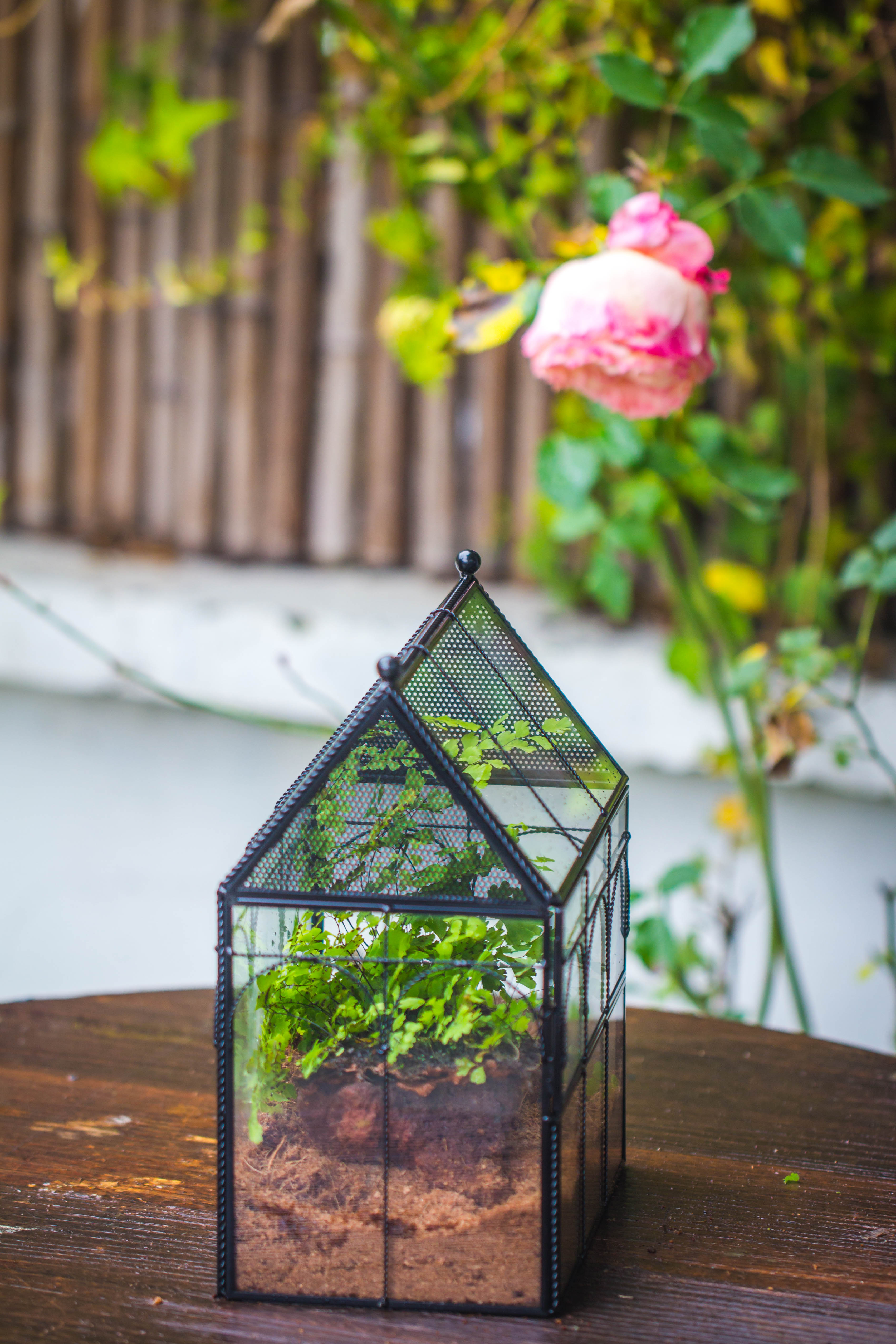 NCYP Vintage House Shape Tin and Glass Geometric Terrarium, with side door, with Mesh / vent holes for small Insects Pet - NCYPgarden
