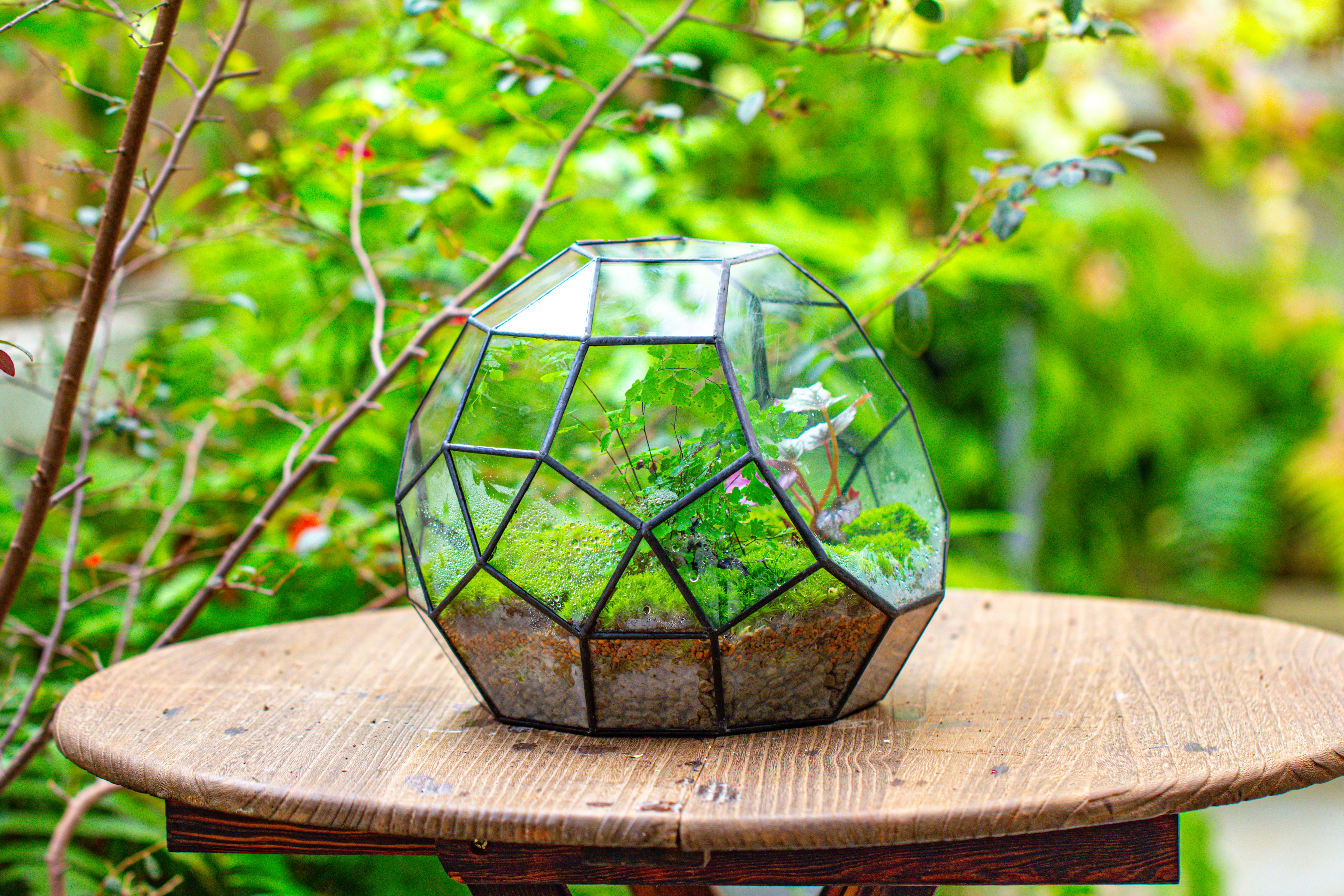 Propagation Station Glass Geometric Moon Terrarium,  Close, with door - NCYPgarden
