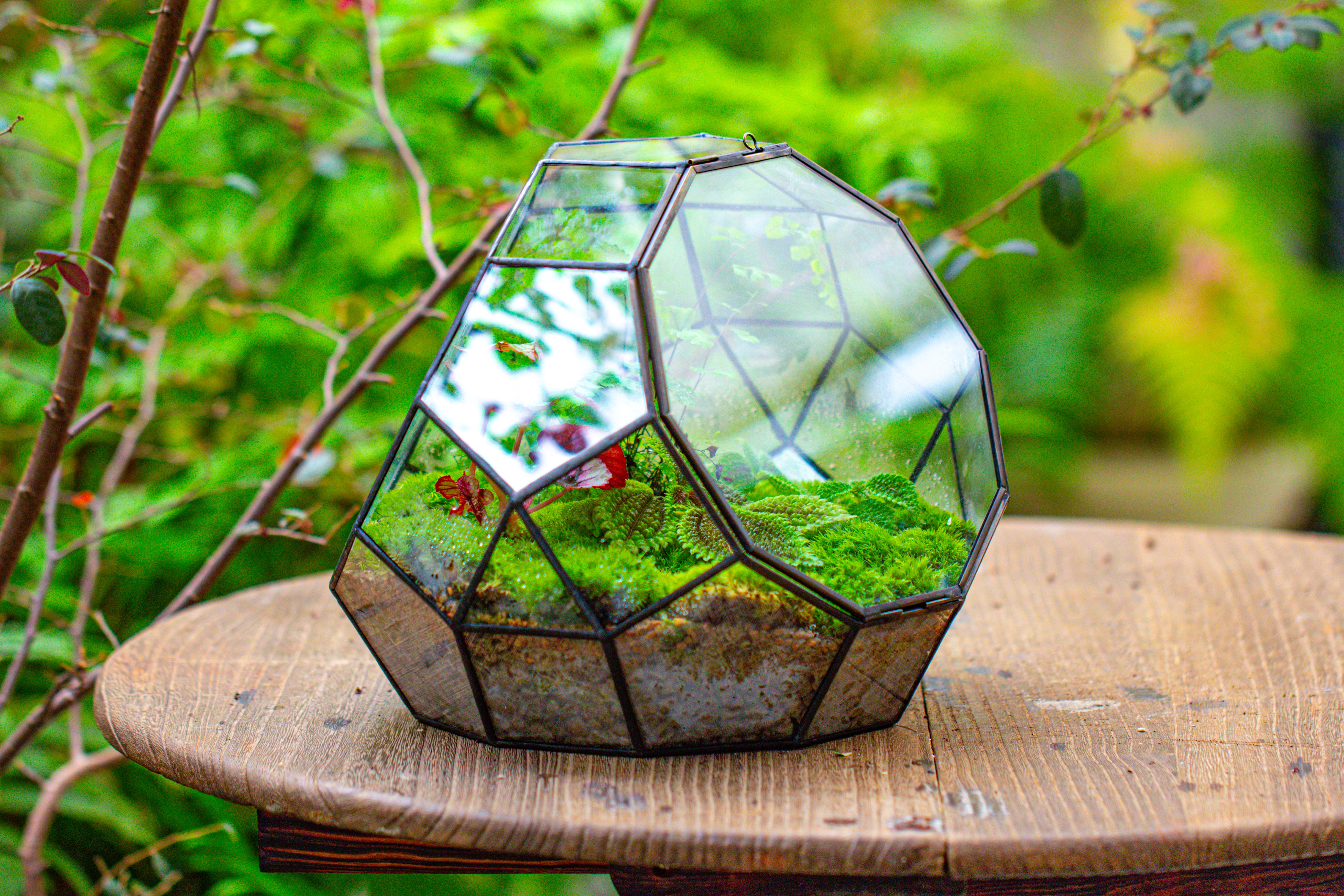 Propagation Station Glass Geometric Moon Terrarium,  Close, with door - NCYPgarden