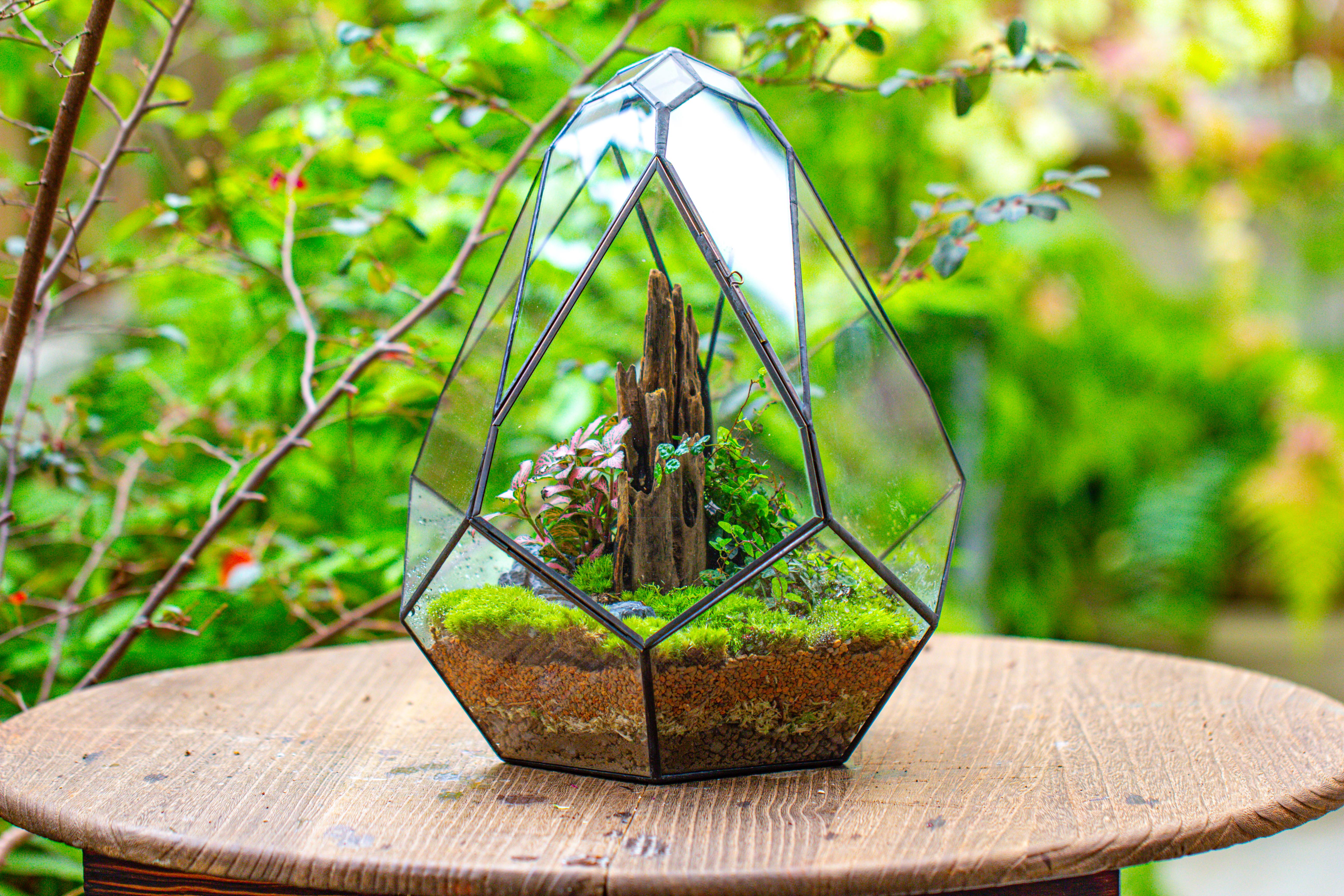 Propagation Station 13" Large Teardrop Geometric Terrarium, Close, with door - NCYPgarden