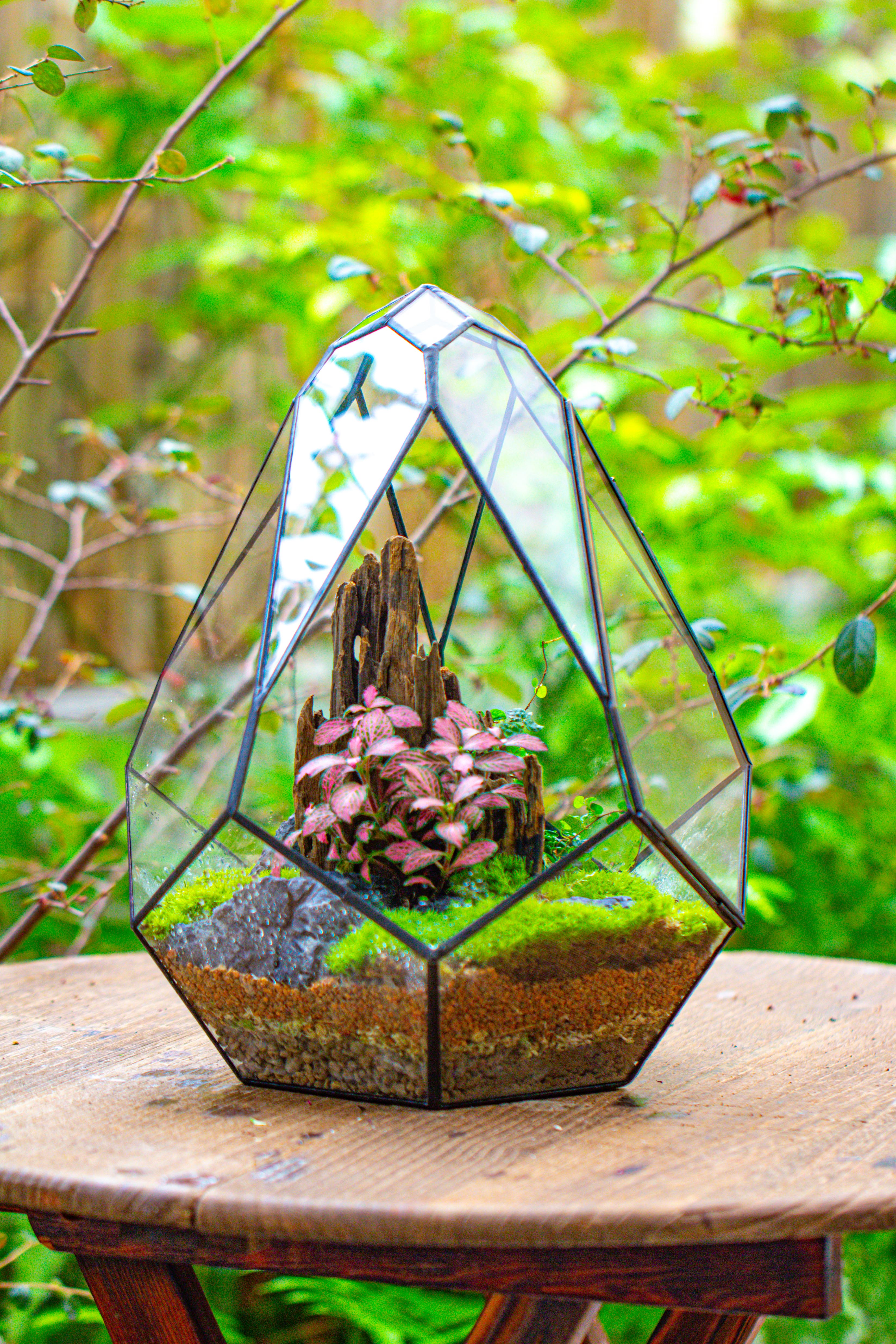 Propagation Station 13" Large Teardrop Geometric Terrarium, Close, with door - NCYPgarden