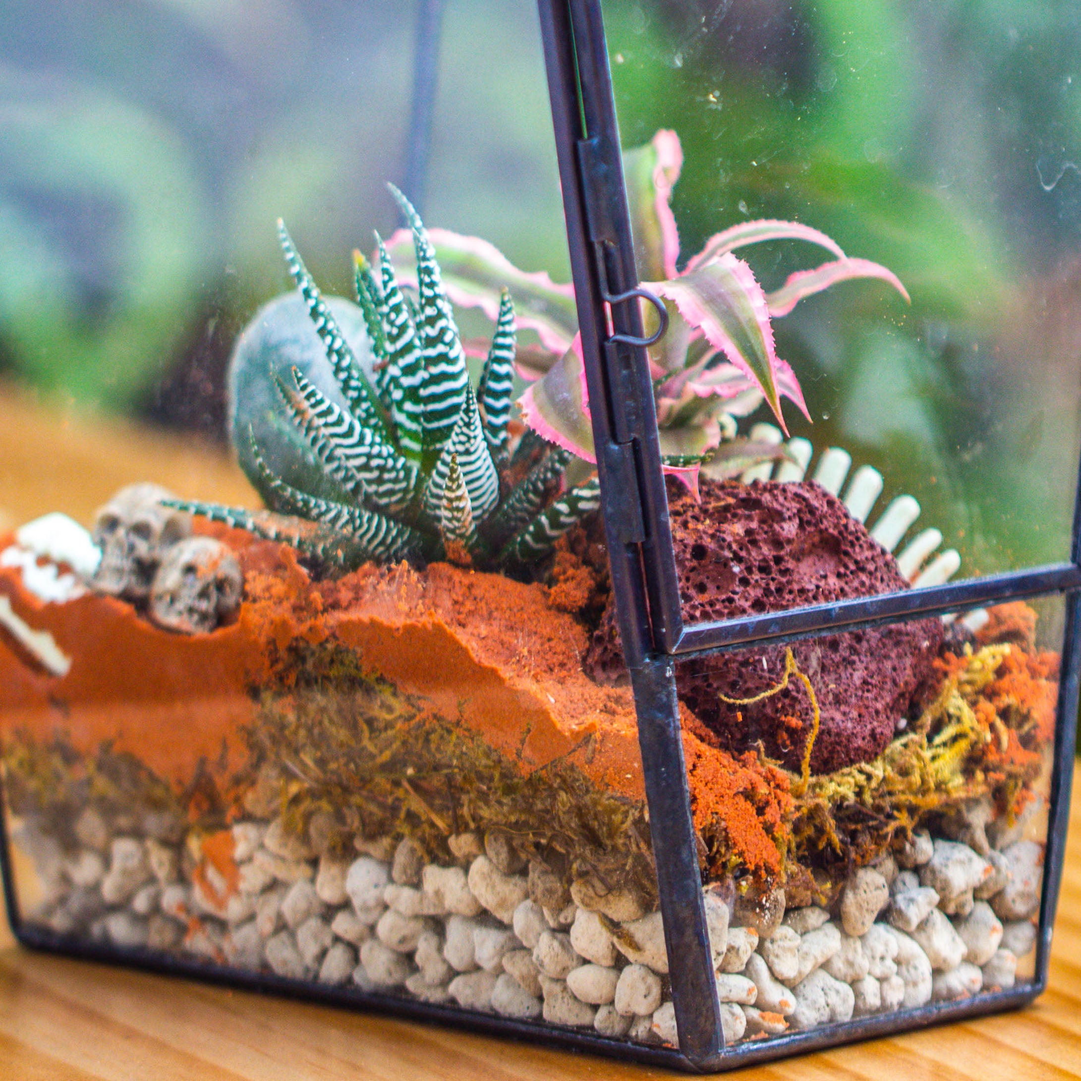 Grey White Horticultural Lava Rock Volcanic Rock - NCYPgarden