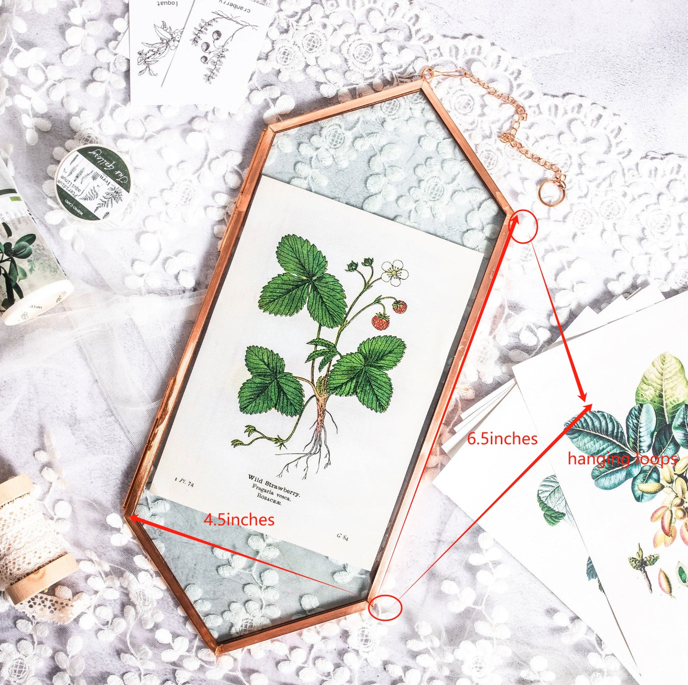 custommade rose gold frame horizontally, 3 units, 6.5 x 4.5 inches, for Sarah - NCYPgarden