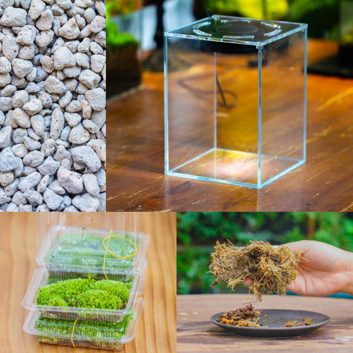 Watertight Glass Tank with LED Grow Light, Acrylic Lid, DIY Terrarium Kit-25x25x25cm / 9.8x9.8x9.8'' - NCYPgarden