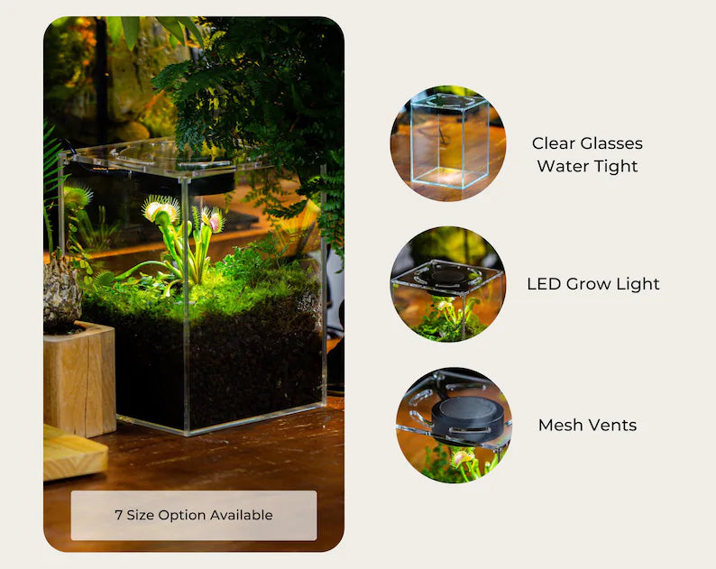 Watertight Glass Tank with LED Grow Light, Acrylic Lid, DIY Terrarium Kit-15x11x13cm / 5.9x4.3x5.1'' - NCYPgarden