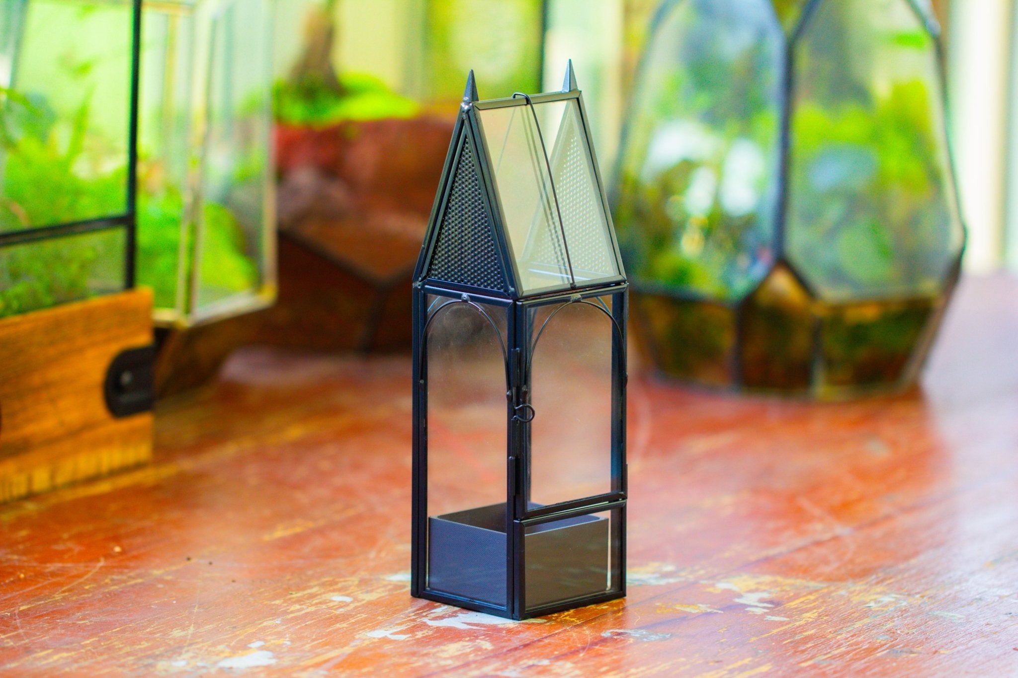 Mini tall house shape jumping spider terrarium SH04E1 - NCYPgarden