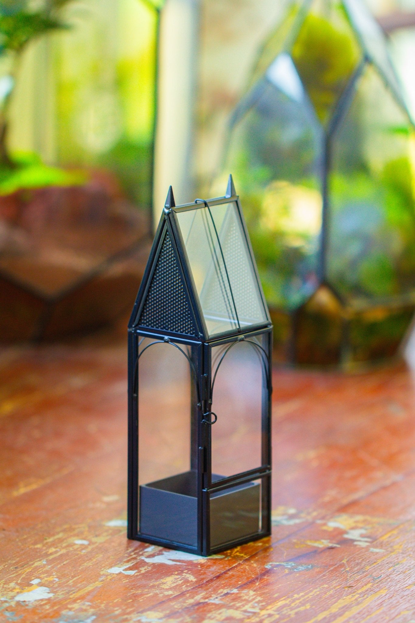 Mini tall house shape jumping spider terrarium SH04E1 - NCYPgarden