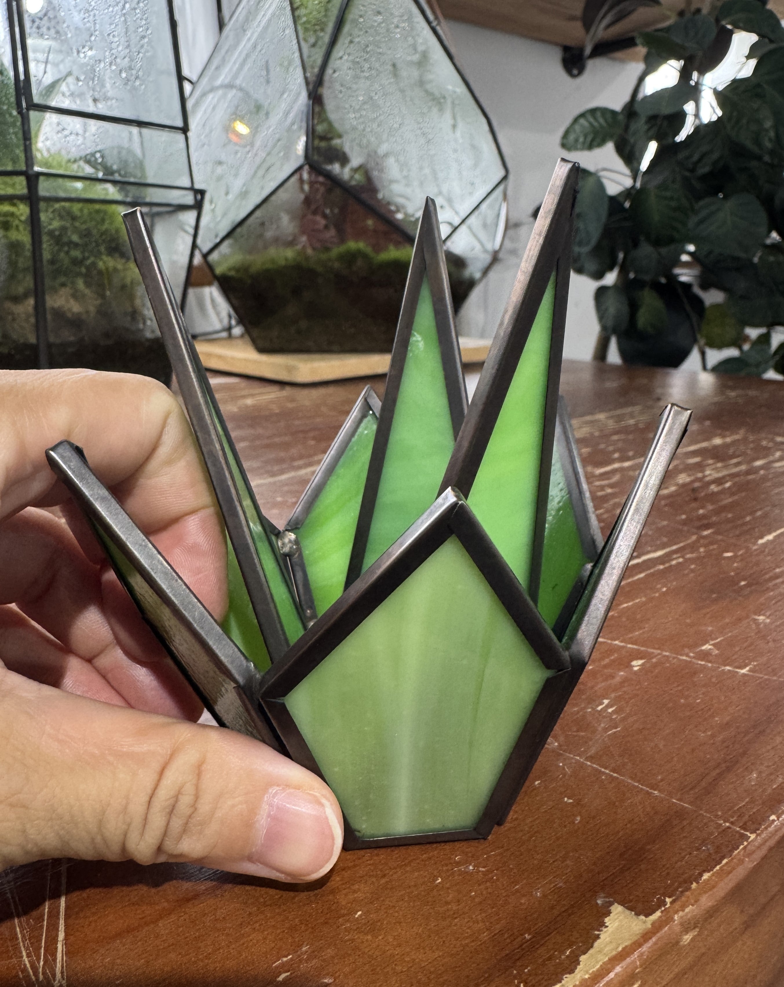 custommade terrarium for Sarah - NCYPgarden