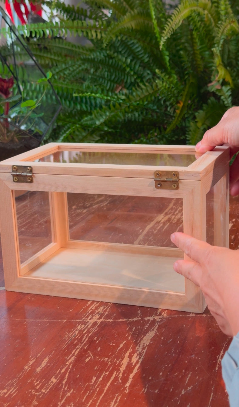 custommade order for Reni black walnut, glass shadow box - NCYPgarden