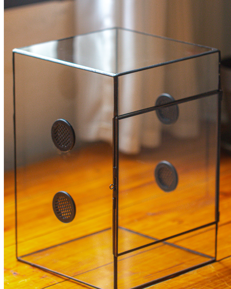 custommade order 41cm / 16" Tall Irregular Glass Geometric Terrarium with 3 vent - NCYPgarden