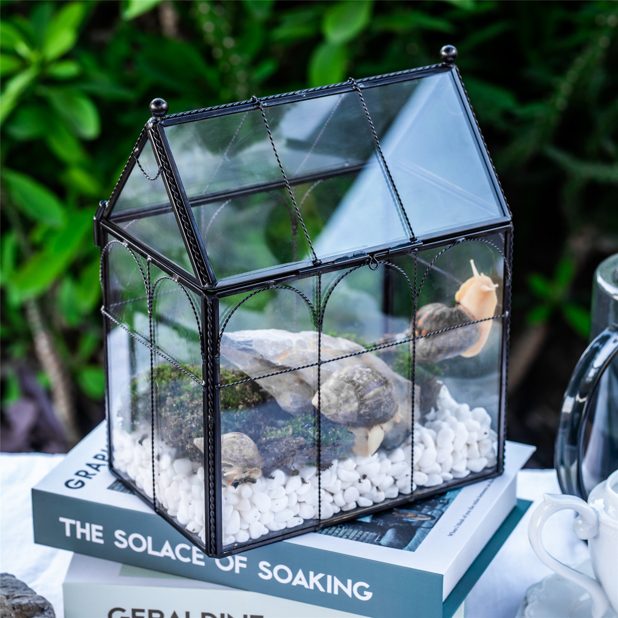 NCYP Tall Glass Geometric Terrarium Brass Twisted Brass Wire Decorated Black Vintage House Shape for Insect Snail Moss Succulents Cacti Air Plant - NCYPgarden