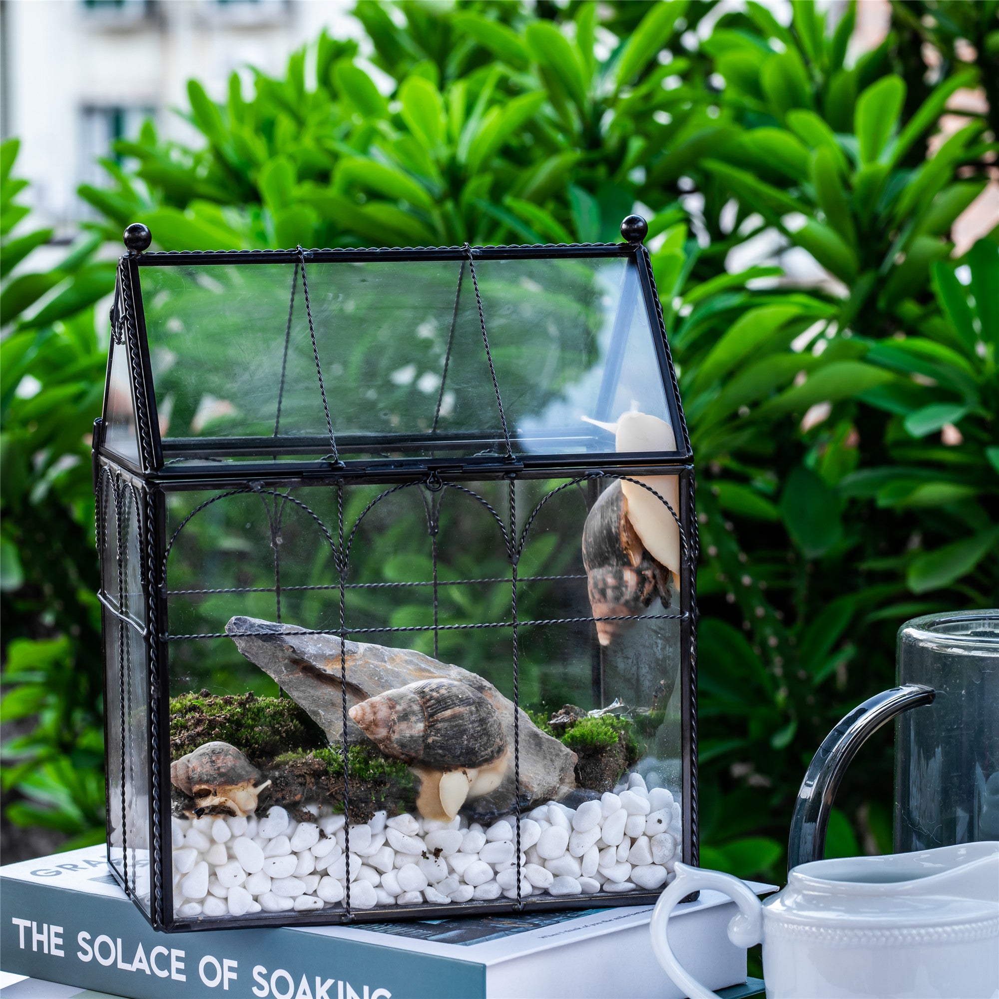 NCYP Tall Glass Geometric Terrarium Brass Twisted Brass Wire Decorated Black Vintage House Shape for Insect Snail Moss Succulents Cacti Air Plant - NCYPgarden