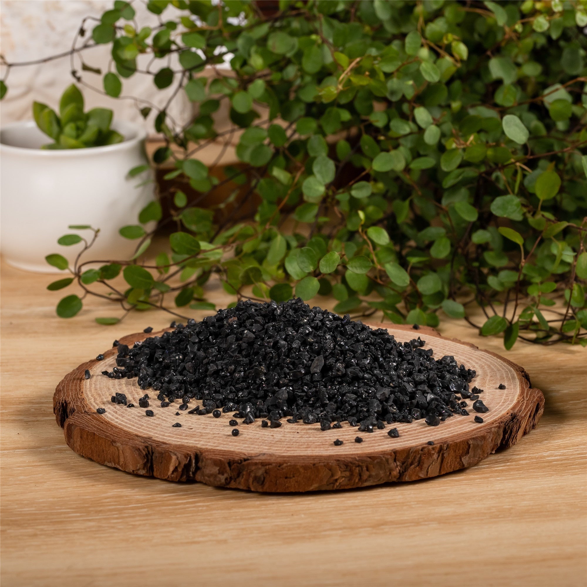 Decorative Black Galaxy Rocks Quartz Sand for Succulents Top Dressing, Terrarium, Fairy Gardening - NCYPgarden