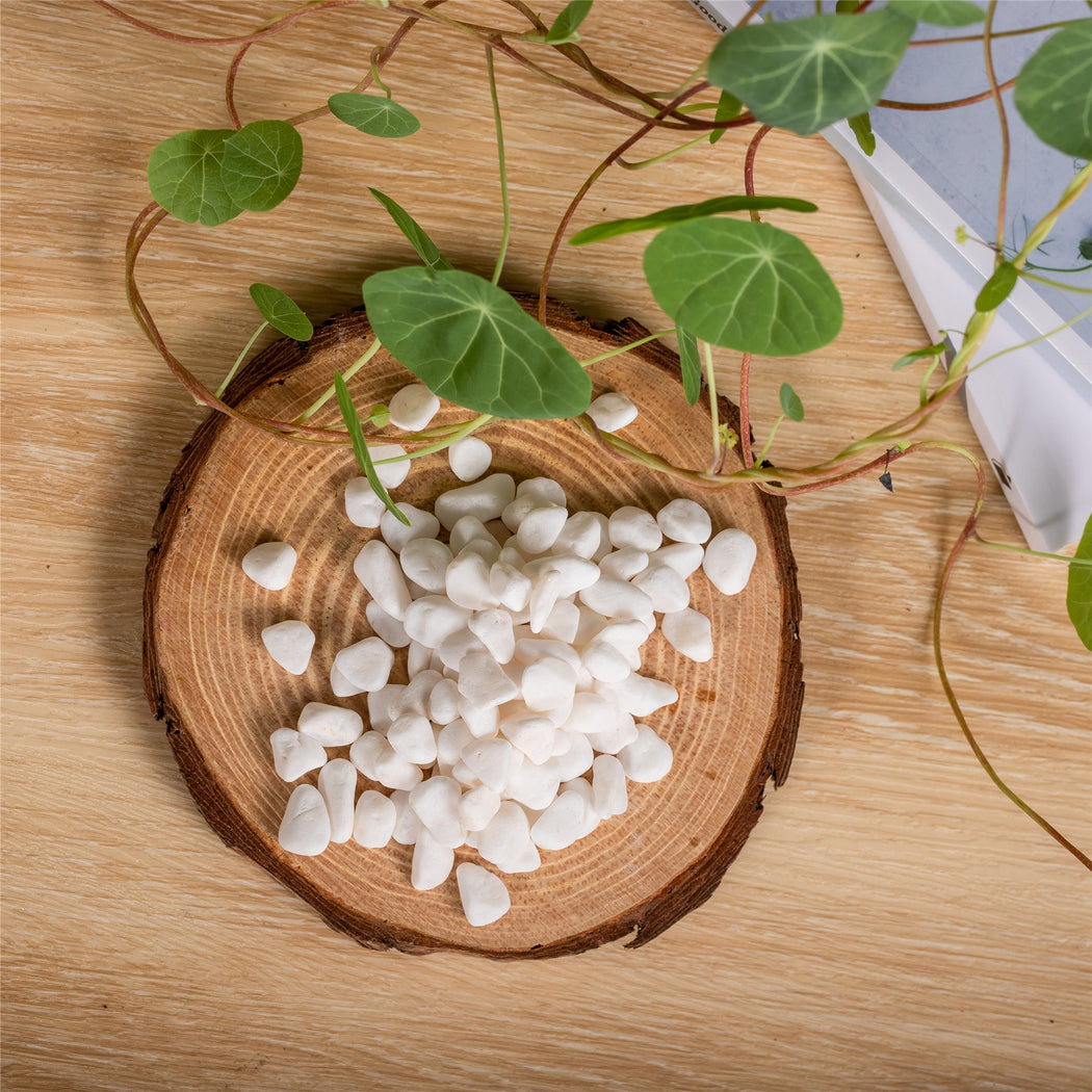 Decorative White Pebble Rocks for Succulents Top Dressing, for Terrarium, Fairy Gardening - NCYPgarden