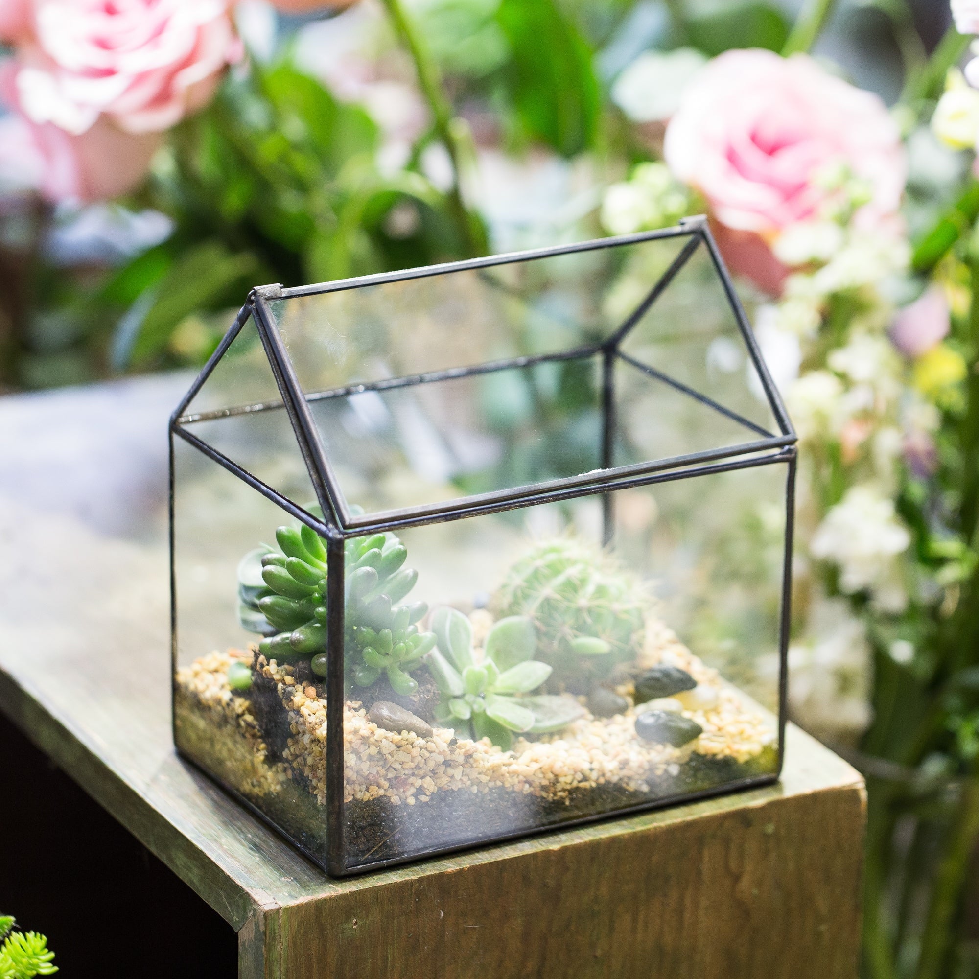 NCYP Vintage House Geometric Terrarium Tin Sealed Chest Planter Succulent Centerpiece Wedding - NCYPgarden