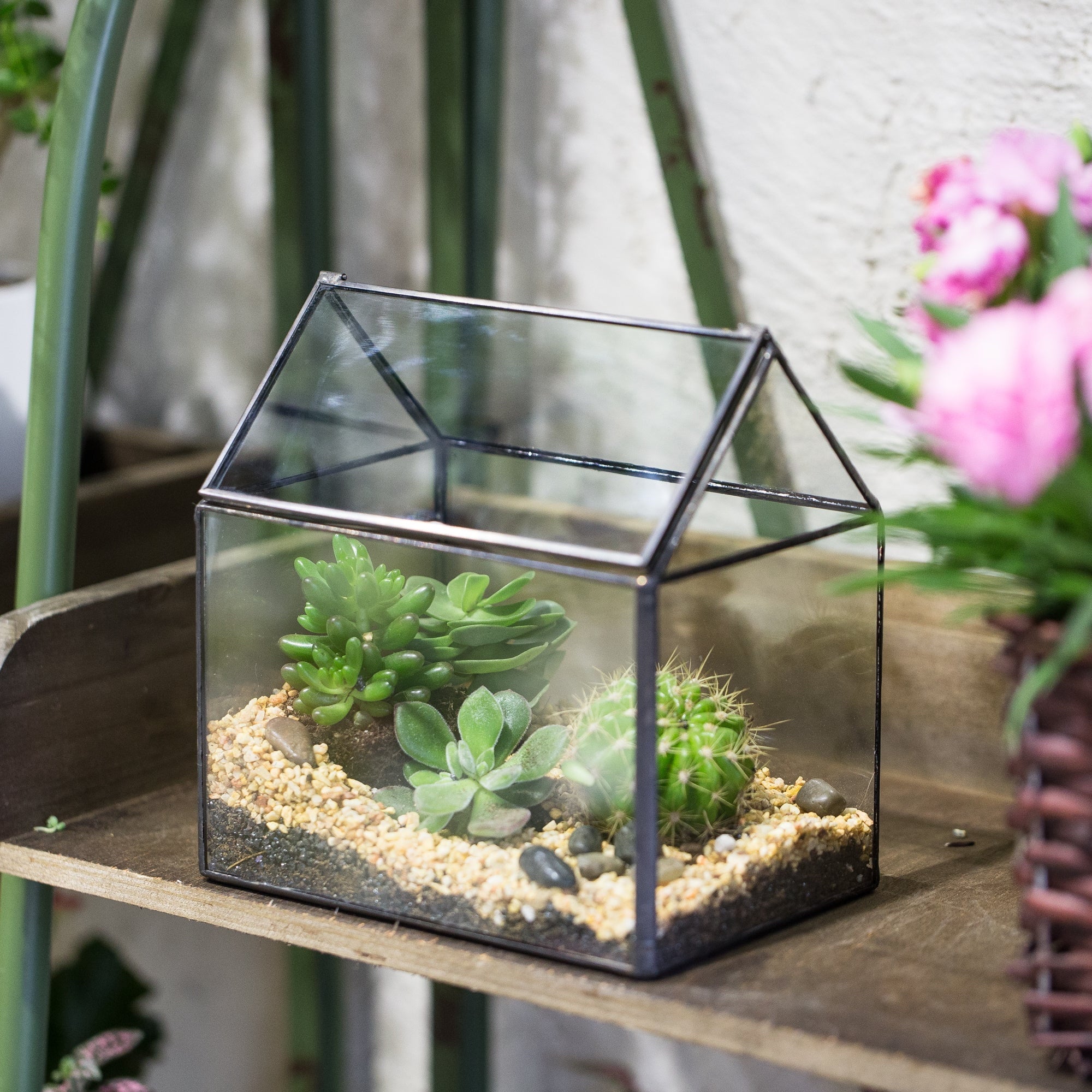 plante terrarium NCYP Vintage House Geometric Terrarium Tin Sealed Chest Planter Succulent Centerpiece Wedding PH07F1