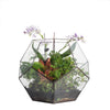 Handmade Extra Large Large Pentagon Glass Geometric Terrarium for Succulents Fern Moss Airplants - NCYPgarden