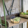 Modern Succulent Plant Glass Geometric Container Desktop Flower Pot for Succulents Flower - NCYPgarden