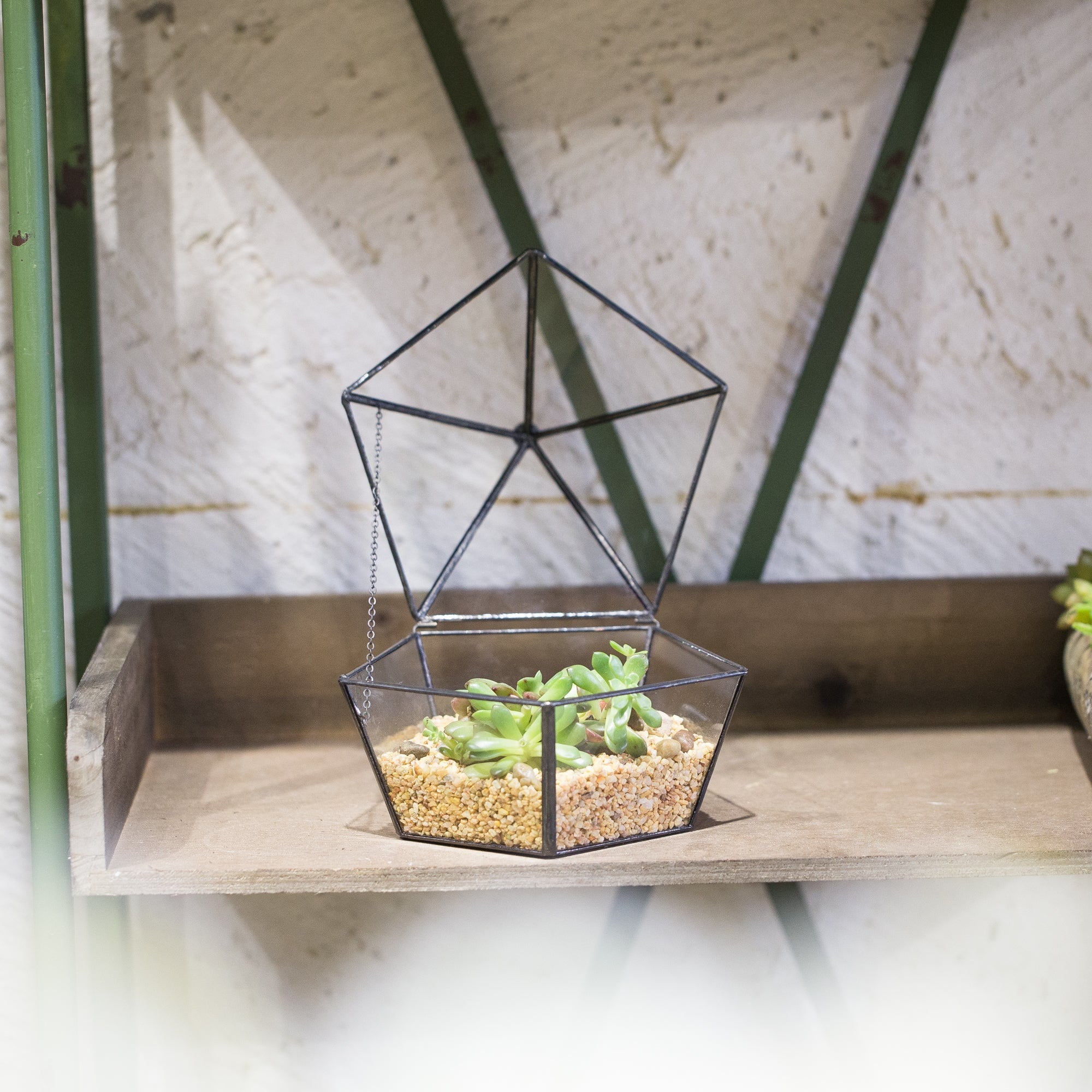 Modern Succulent Plant Glass Geometric Container Desktop Flower Pot for Succulents Flower - NCYPgarden