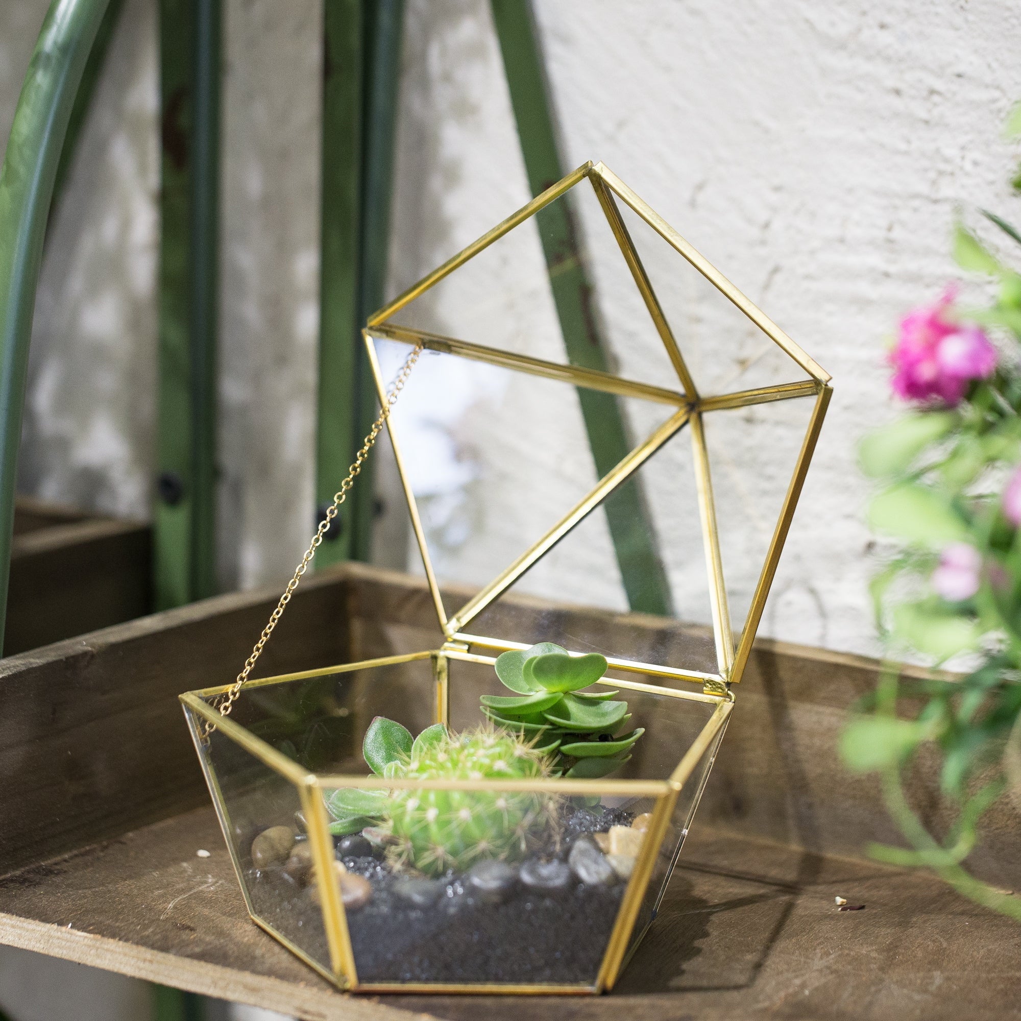 Modern Glass Geometric Terrarium Five Sides Tabletop Display Box for Succulent Fern Moss Plant - NCYPgarden