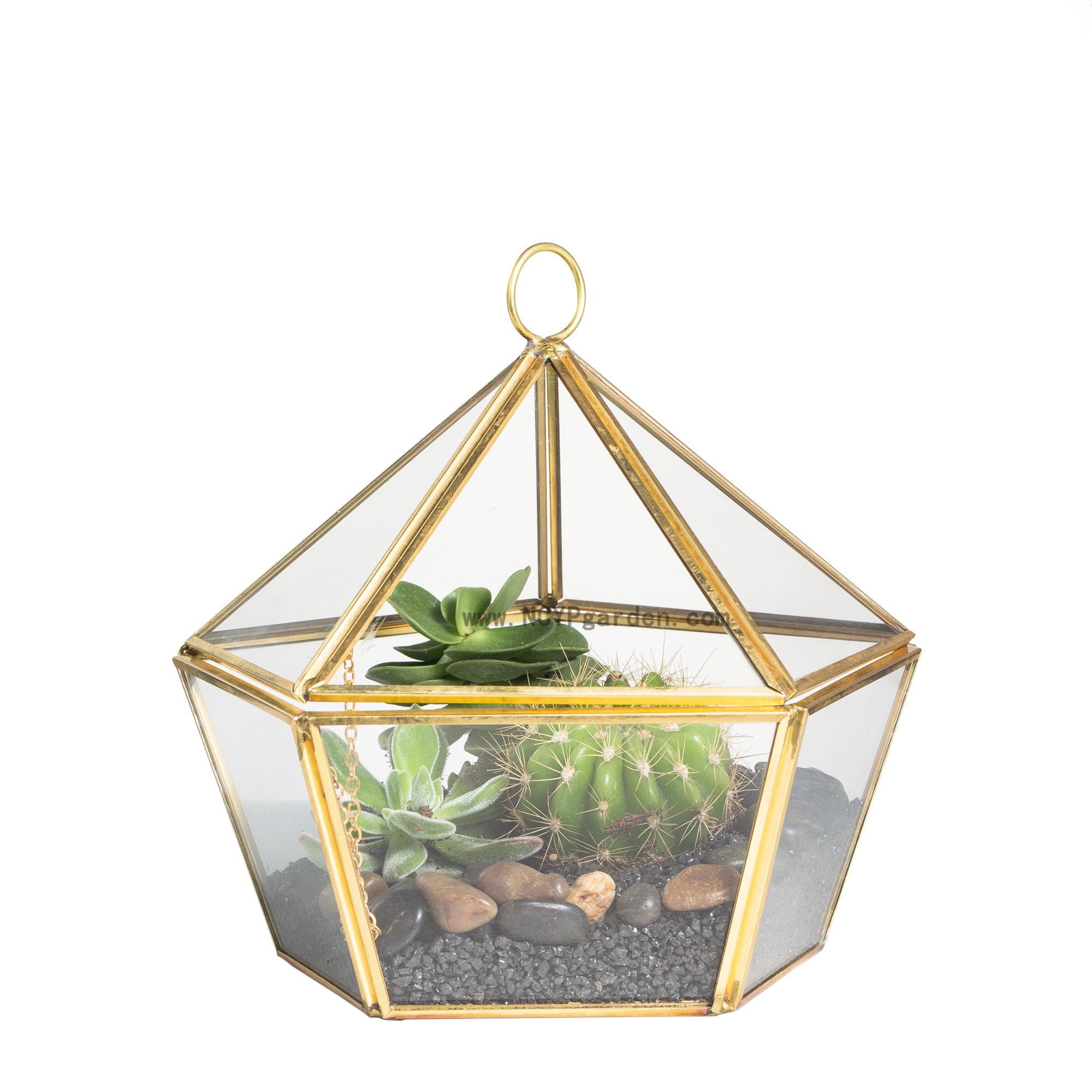 fake plant terrarium Geometric Terrarium Five Sides Tabletop Display Box – NCYPgarden