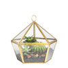 Modern Glass Geometric Terrarium Five Sides Tabletop Display Box for Succulent Fern Moss Plant - NCYPgarden