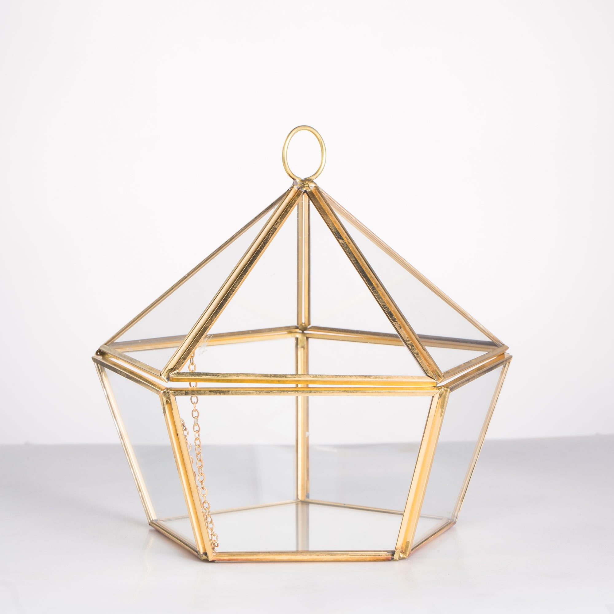 Modern Glass Geometric Terrarium Five Sides Tabletop Display Box for Succulent Fern Moss Plant - NCYPgarden