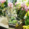Modern Glass Geometric Terrarium Five Sides Tabletop Display Box for Succulent Fern Moss Plant - NCYPgarden