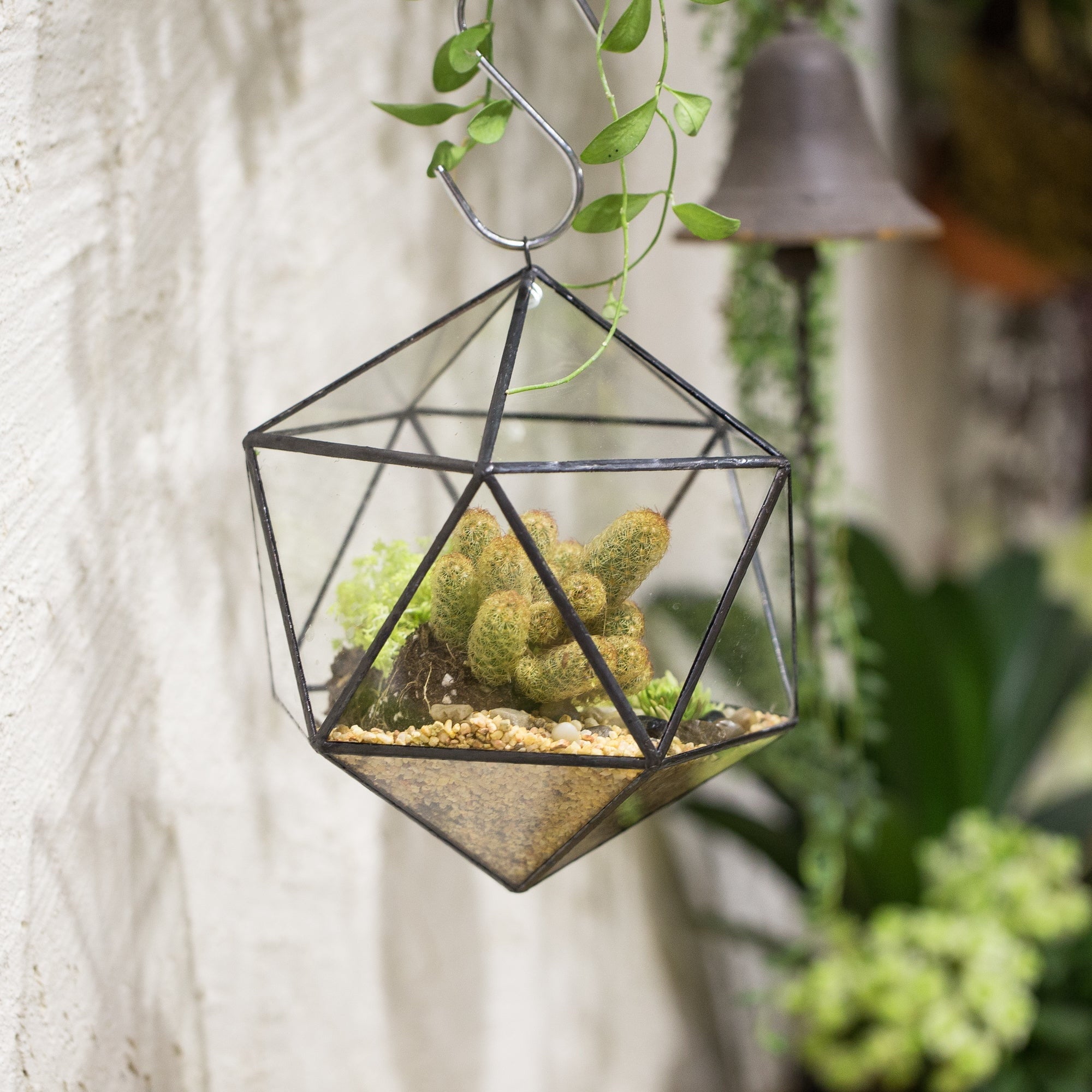 NCYP Wall Hanging Glass Geometric Terrarium Modern Handmade Planter Tabletop Balcony Landschaft Flower Pot Air Plants Holder Display Container - NCYPgarden
