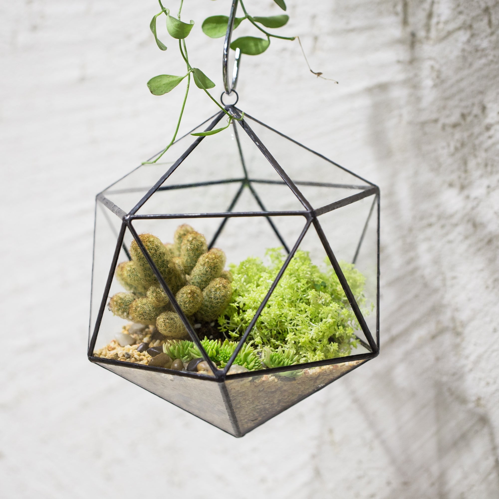 NCYP Wall Hanging Glass Geometric Terrarium Modern Handmade Planter Tabletop Balcony Landschaft Flower Pot Air Plants Holder Display Container - NCYPgarden