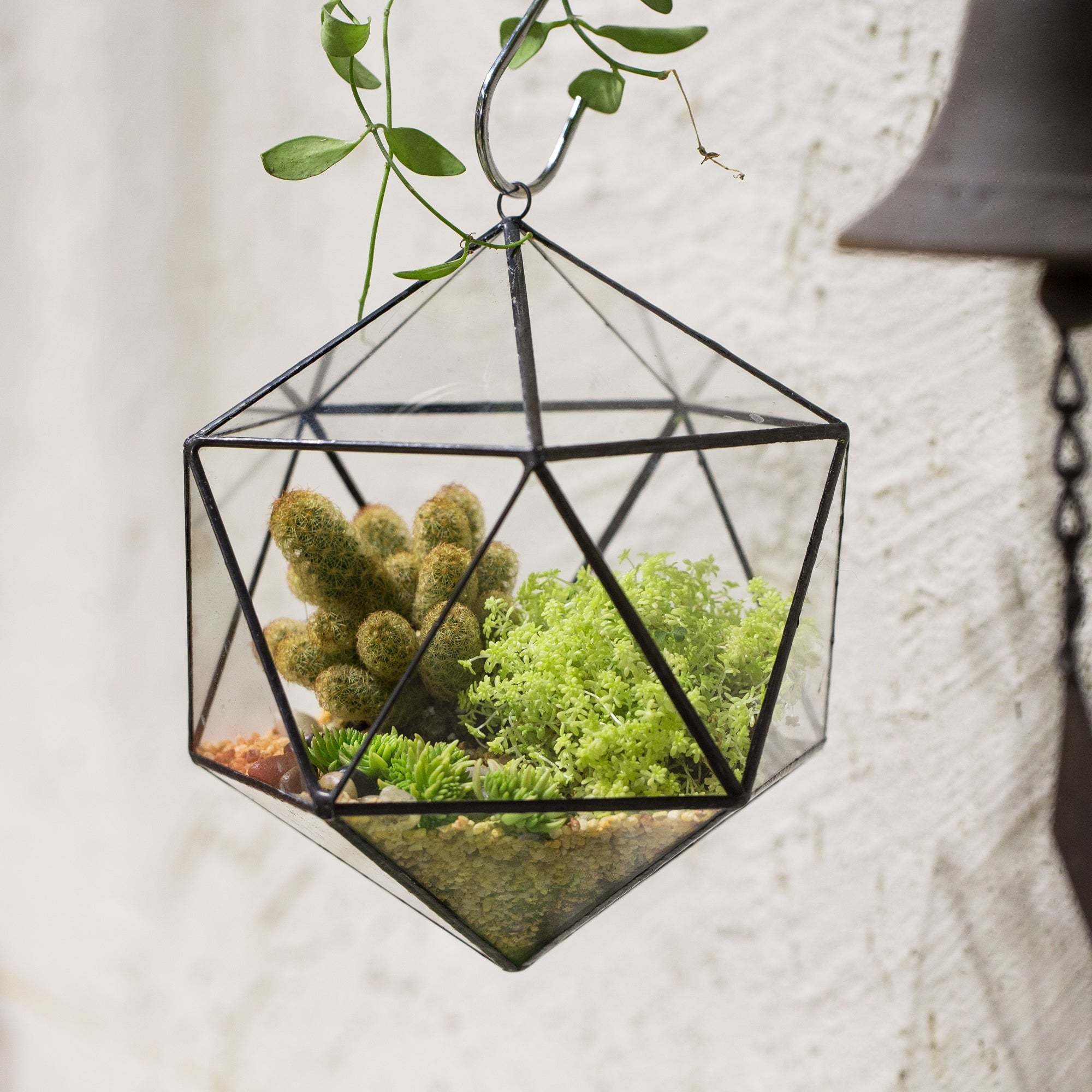 glass succulent hanging planter NCYP Wall Hanging Glass Geometric Terrarium Modern Handmade Planter Tabletop Balcony Landschaft Flower Pot Air Plants Holder Display Container