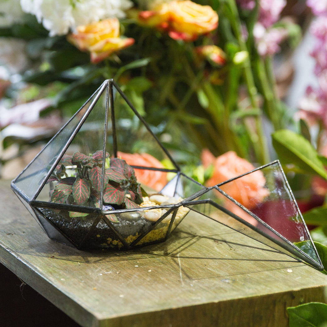 Classic Octahedral Bonsai Pot Tabletop Succulent Pot Geometric Glass Terrarium for Flower Pot - NCYPgarden