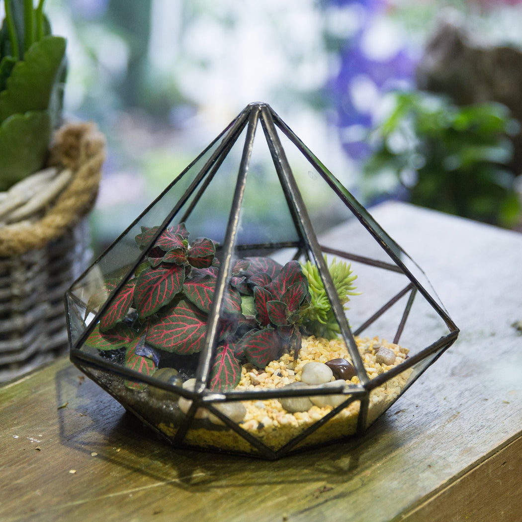Classic Octahedral Bonsai Pot Tabletop Succulent Pot Geometric Glass Terrarium for Flower Pot - NCYPgarden