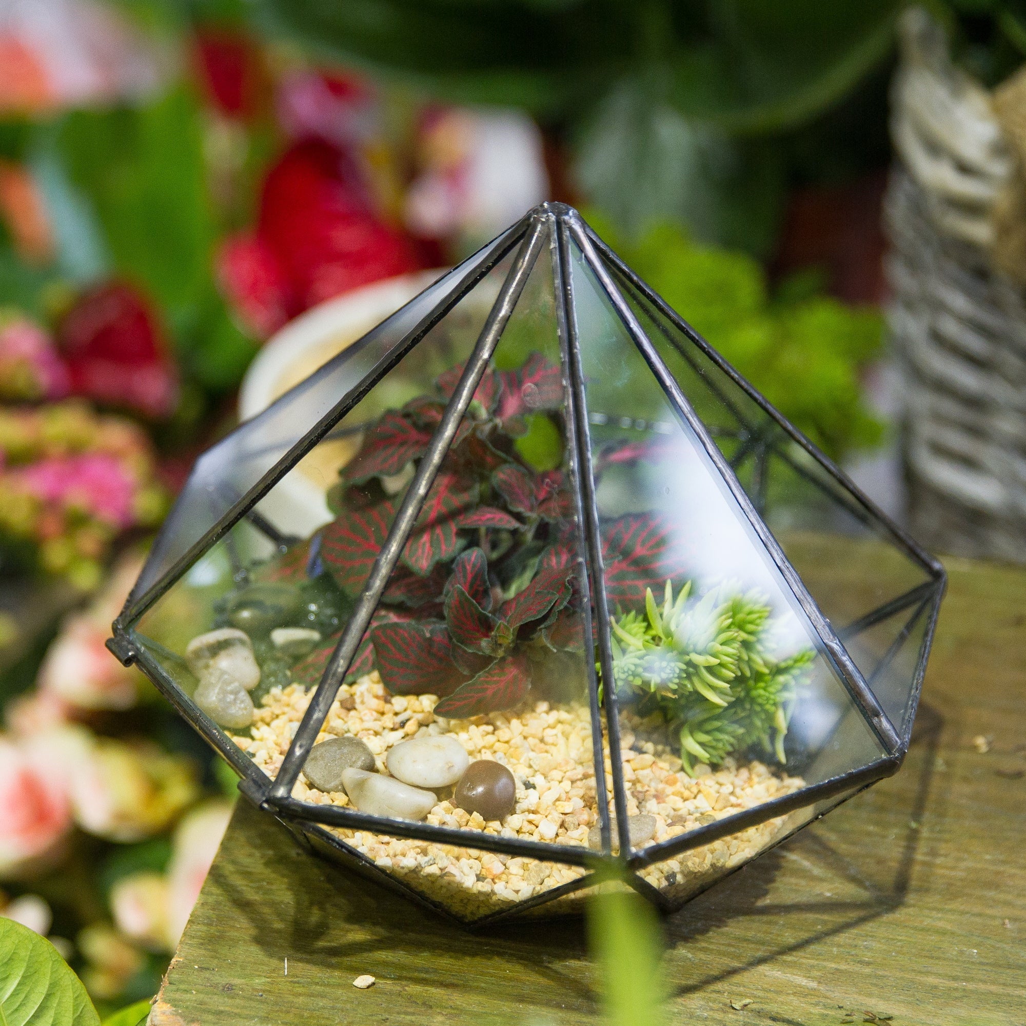 Classic Octahedral Bonsai Pot Tabletop Succulent Pot Geometric Glass Terrarium for Flower Pot - NCYPgarden