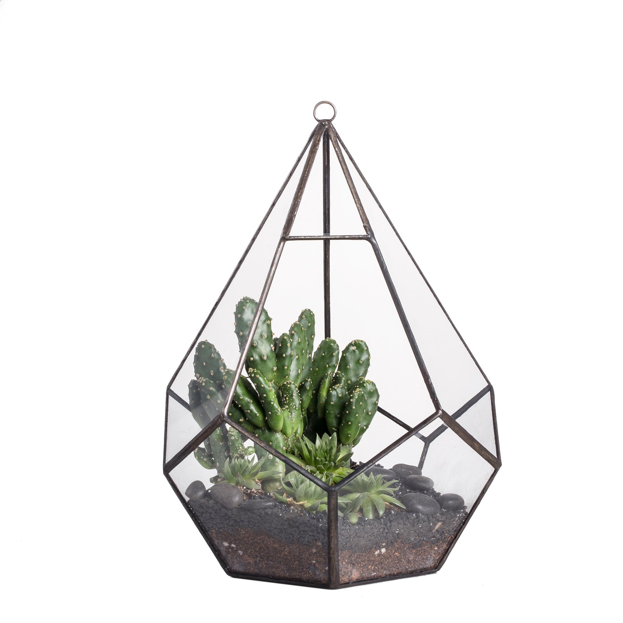 plant terrarium hanging NCYP Hanging Glass Geometric Terrarium for Succulent