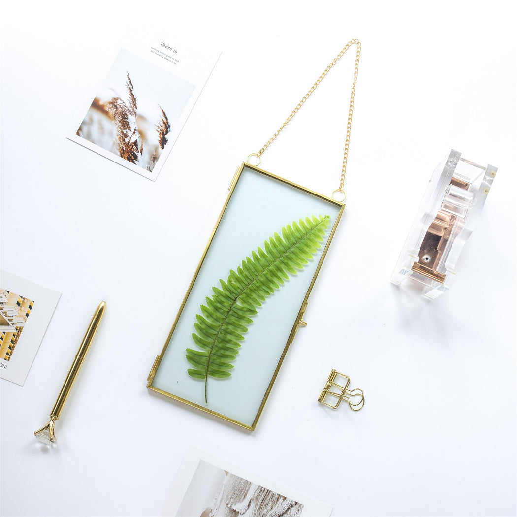 NCYP 4x9 inchs Clear Glass Picture Frame Wall Hanging Certificate Photo Plant Specimen Clip - NCYPgarden