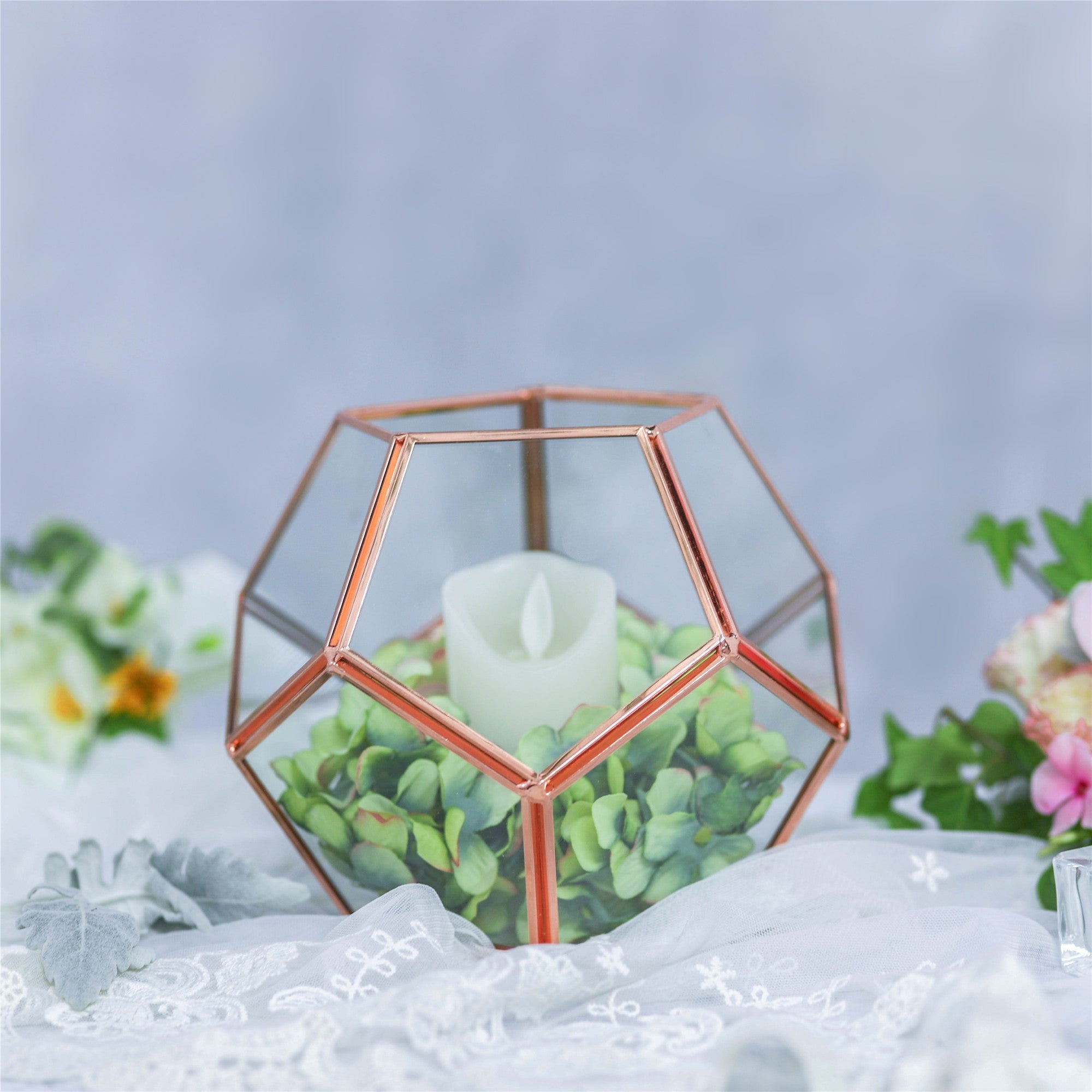 Glass Pentagon Regular Dodecahedron Geometric Terrarium Container Desktop Planter for Succulent - NCYPgarden