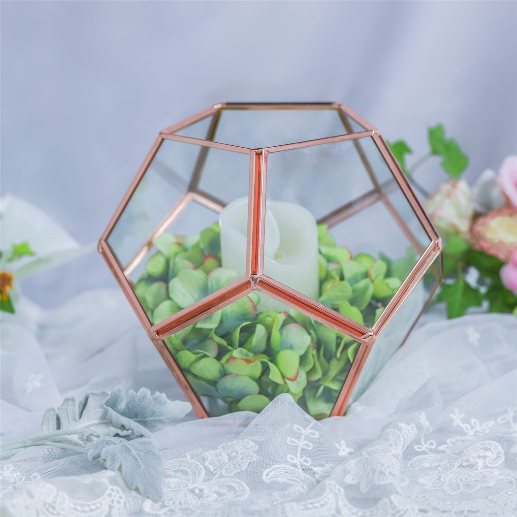 Glass Pentagon Regular Dodecahedron Geometric Terrarium Container Desktop Planter for Succulent - NCYPgarden