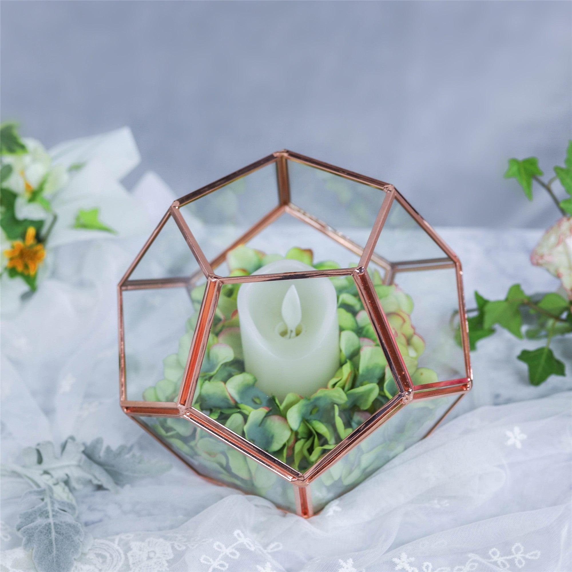 Glass Pentagon Regular Dodecahedron Geometric Terrarium Container Desktop Planter for Succulent - NCYPgarden