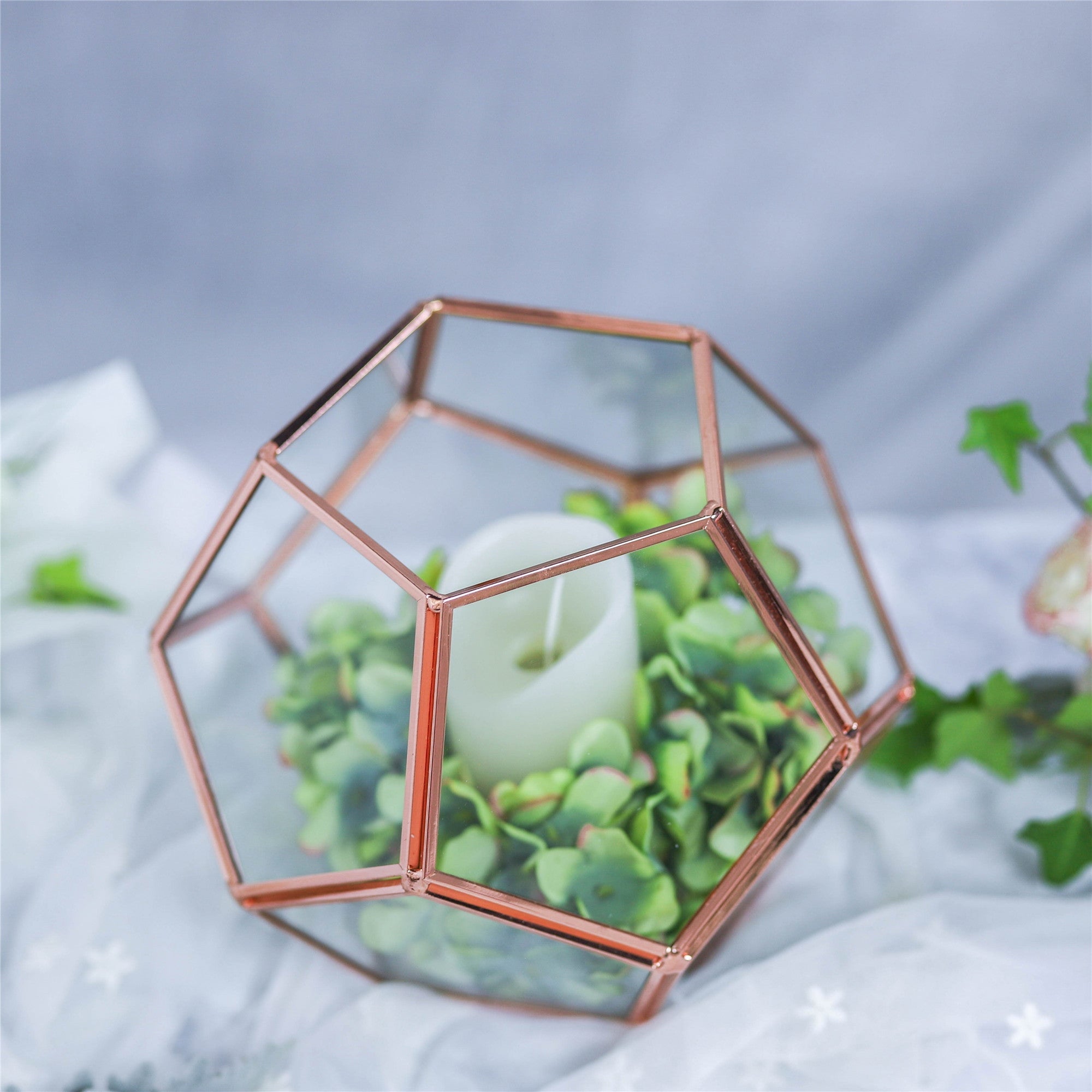 Glass Pentagon Regular Dodecahedron Geometric Terrarium Container Desktop Planter for Succulent - NCYPgarden