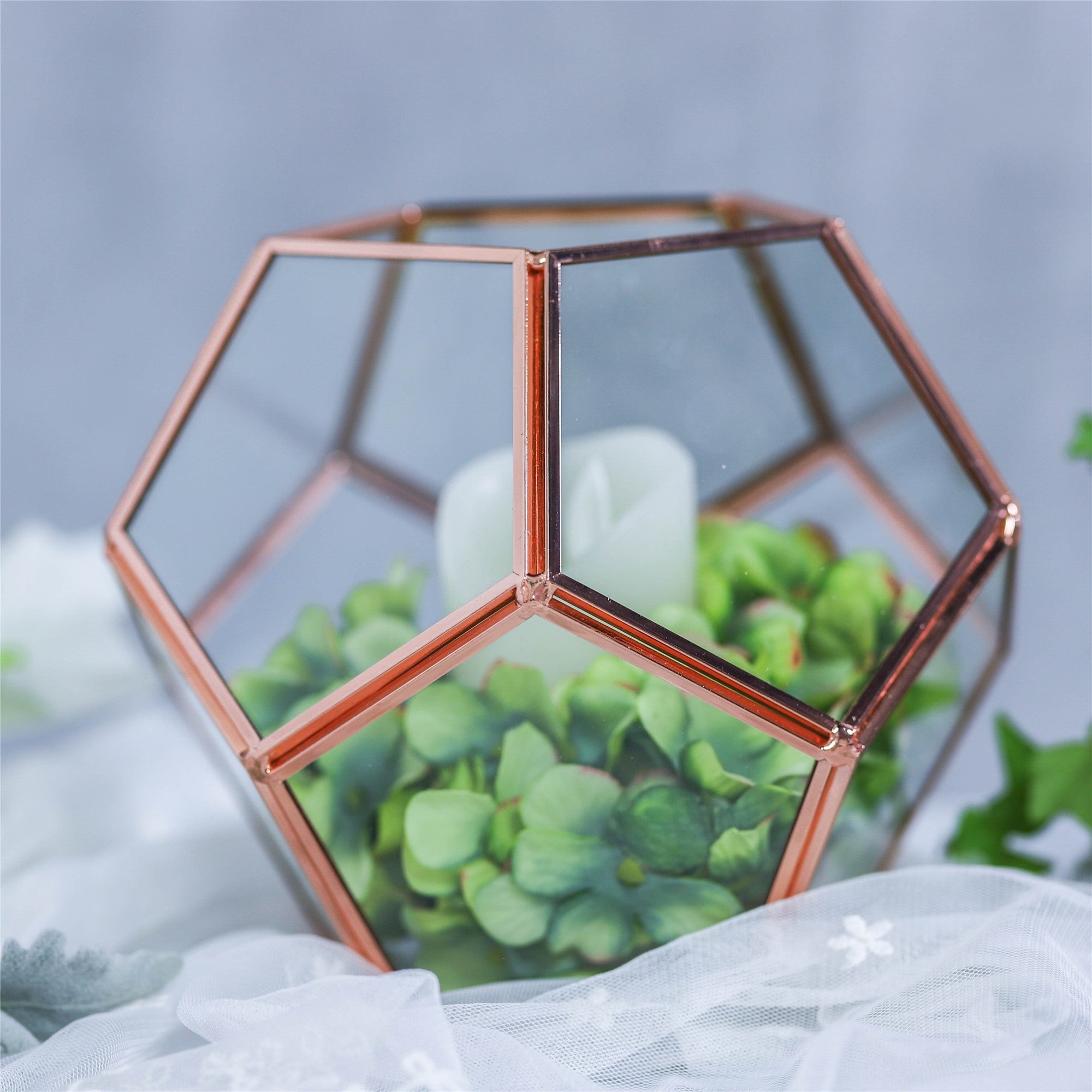 Glass Pentagon Regular Dodecahedron Geometric Terrarium Container Desktop Planter for Succulent - NCYPgarden