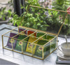 NCYP Glass Terrarium Box Tea Coffee Bag Storage Organizer Jewelry Counter 8 Grids Compartments - NCYPgarden