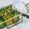 NCYP Glass Terrarium Box Tea Coffee Bag Storage Organizer Jewelry Counter 8 Grids Compartments - NCYPgarden