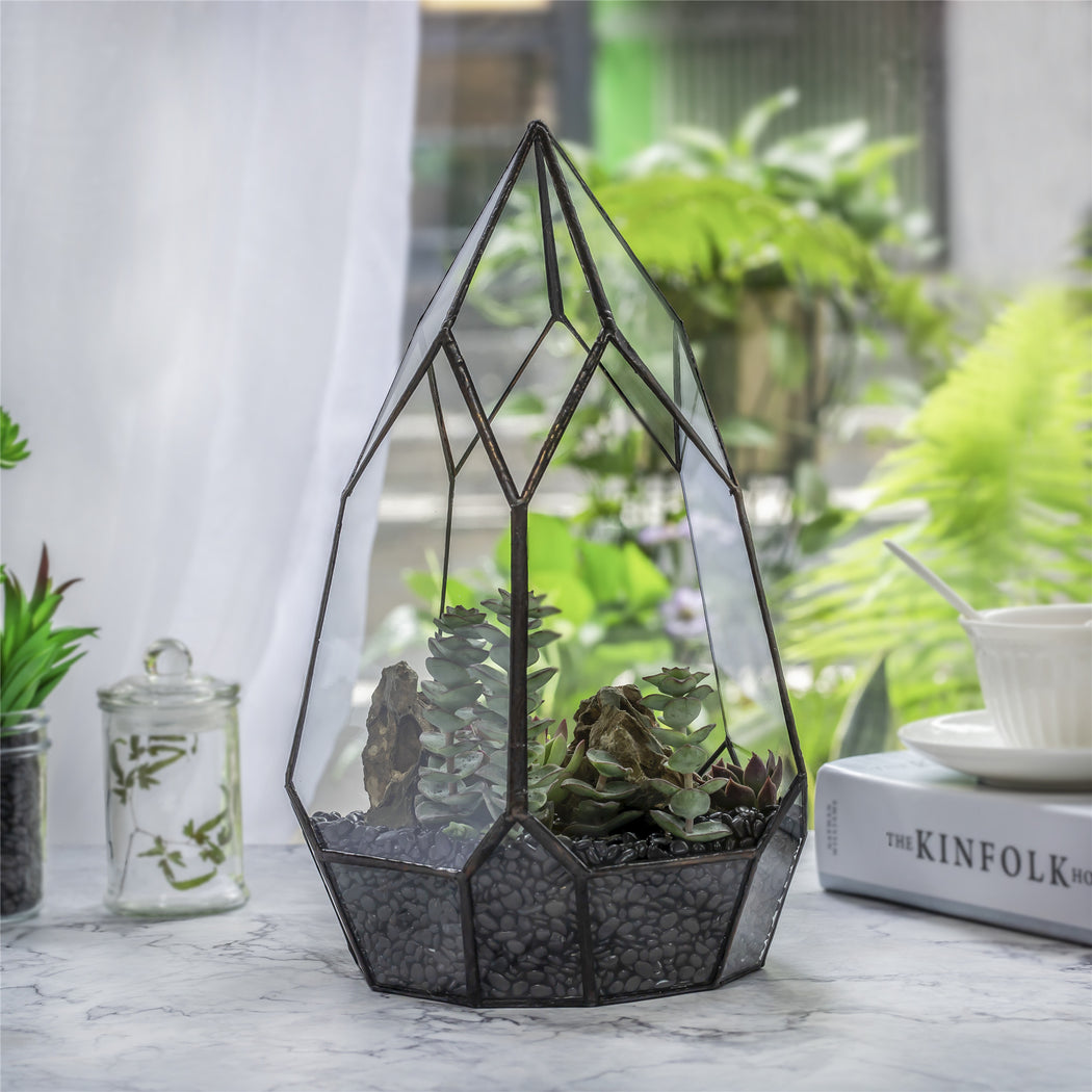 NCYP Irregular Open Geometric Glass Terrarium for Succulents Planter Pot Dessert Landscape Bonsai - NCYPgarden