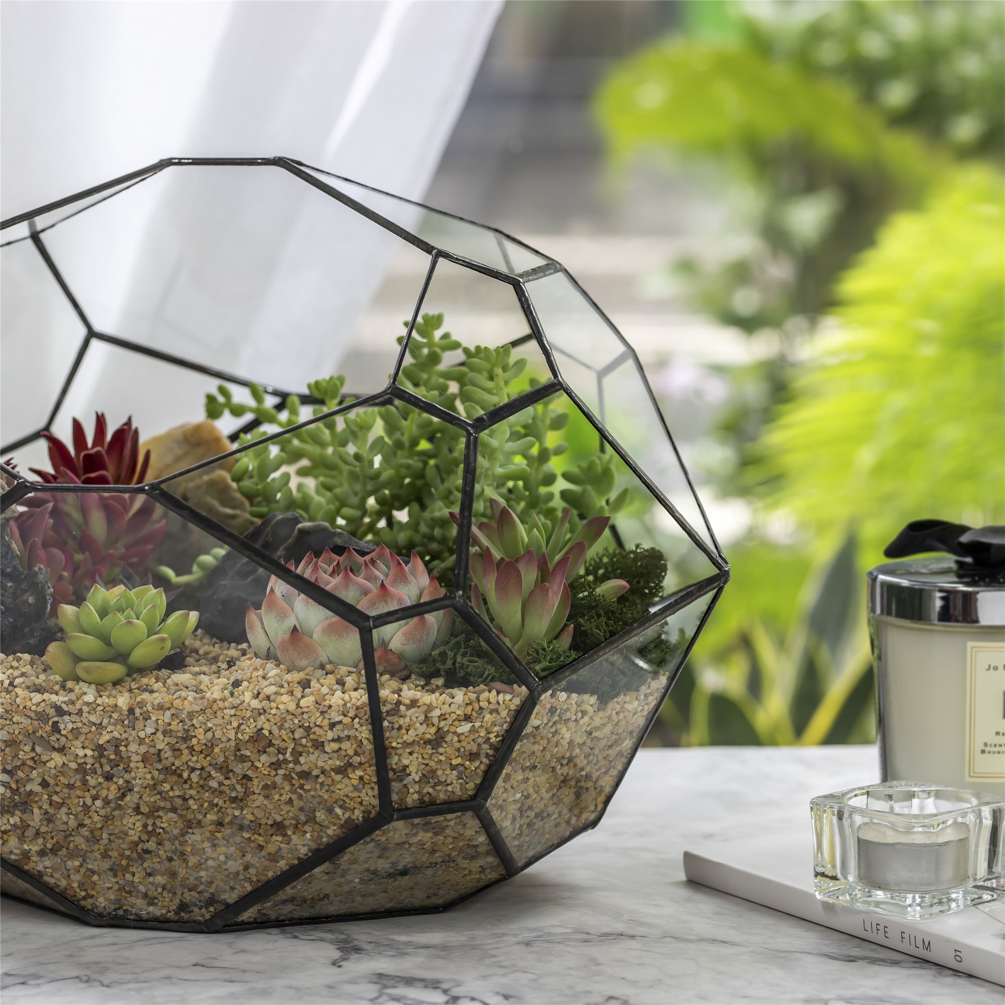 open terrarium succulents Large Geometric Glass Terrarium Container