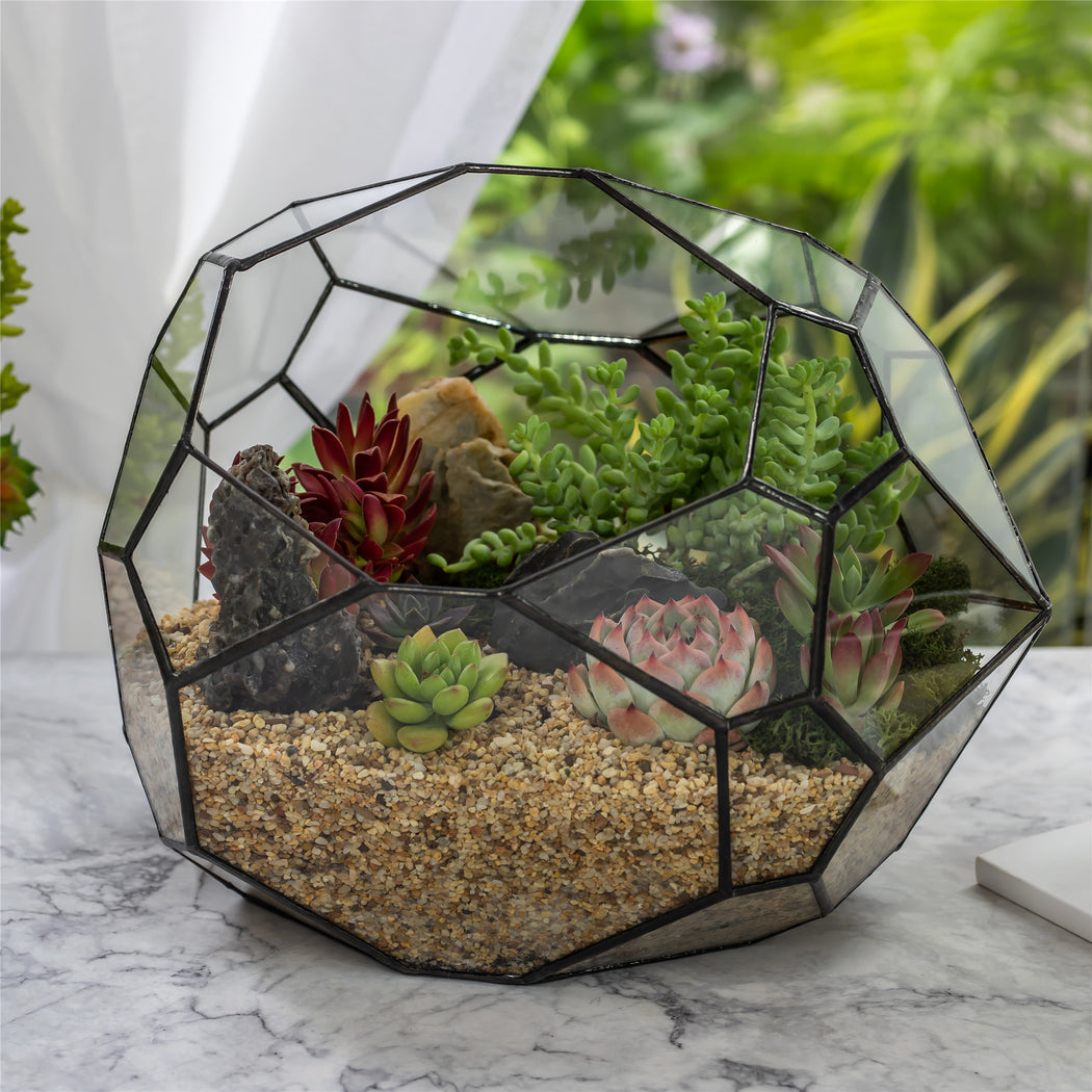 NCYP Irregular Open Geometric Glass Terrarium Bubble Shape for Succulents Landscape Bonsai - NCYPgarden