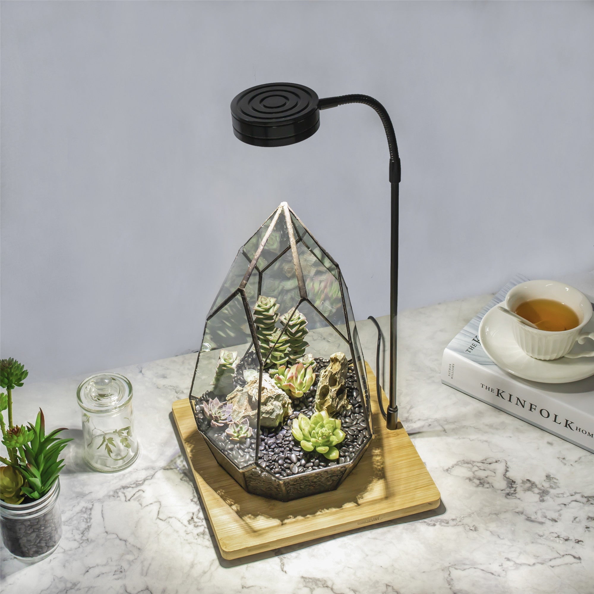 led grow lights succulents NCYP Tabletop Board USB LED Succulents Grow Light Display Indoor Terra – NCYPgarden
